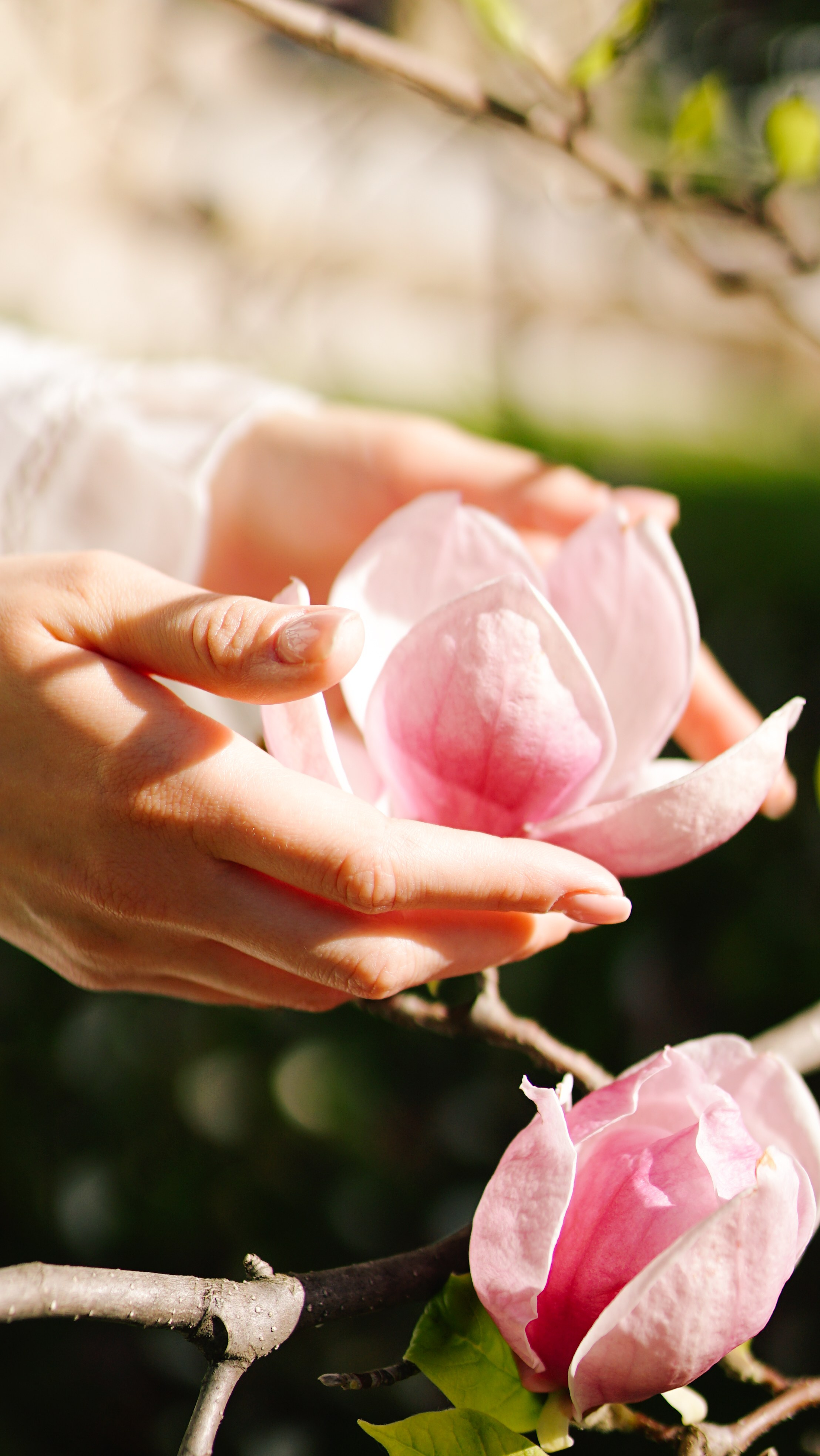 Fotografie de Portret Brașov | Artist Mădălina Beda. Madalina Beda- Artist vizual, fotograf, doula la nastere, consultant babywearing Brasov si in toata tara