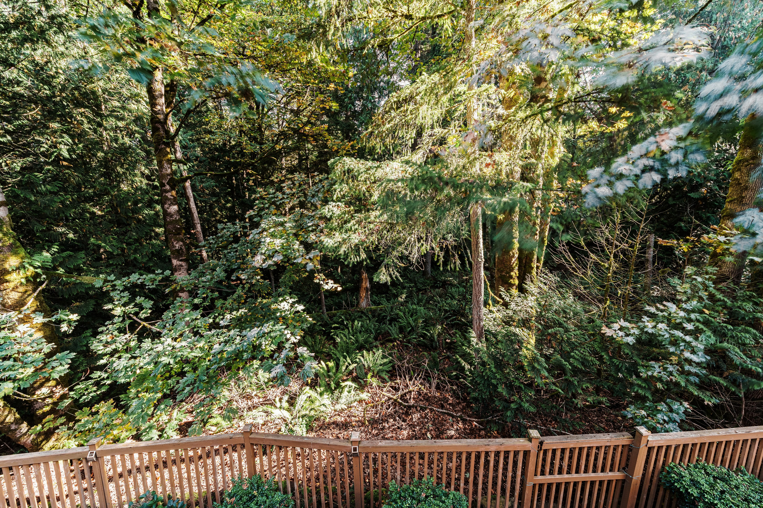 Real Estate photography. Washington state. EVAN ARISTOV WEDDING PHOTOGRAPHY — Seattle Wedding Photographer