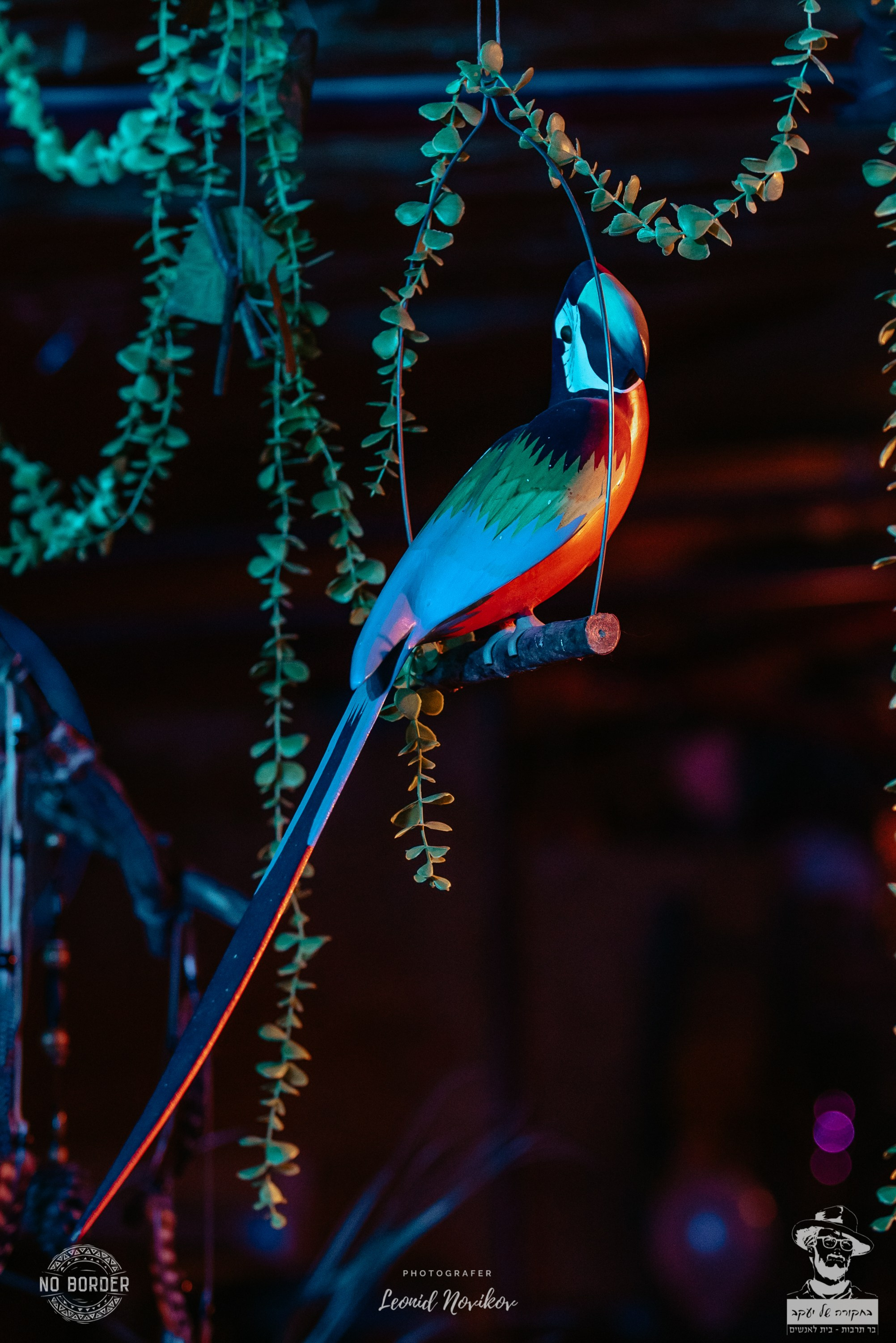 Events. Portrait photografer in Montenegro