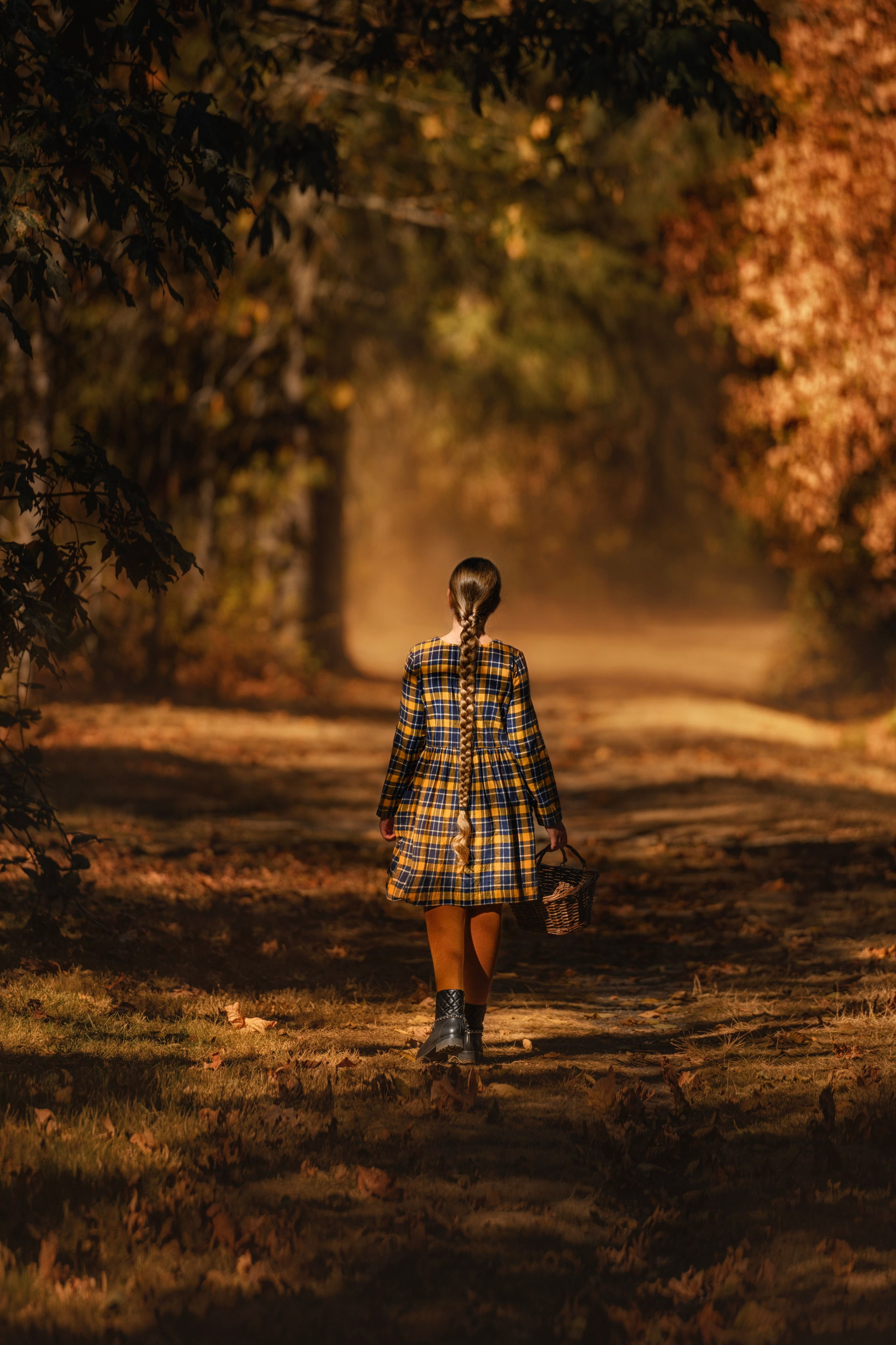Caity in the autumn forest. Wedding & portrait photography in the Seattle Area. Helen Michelle photographer