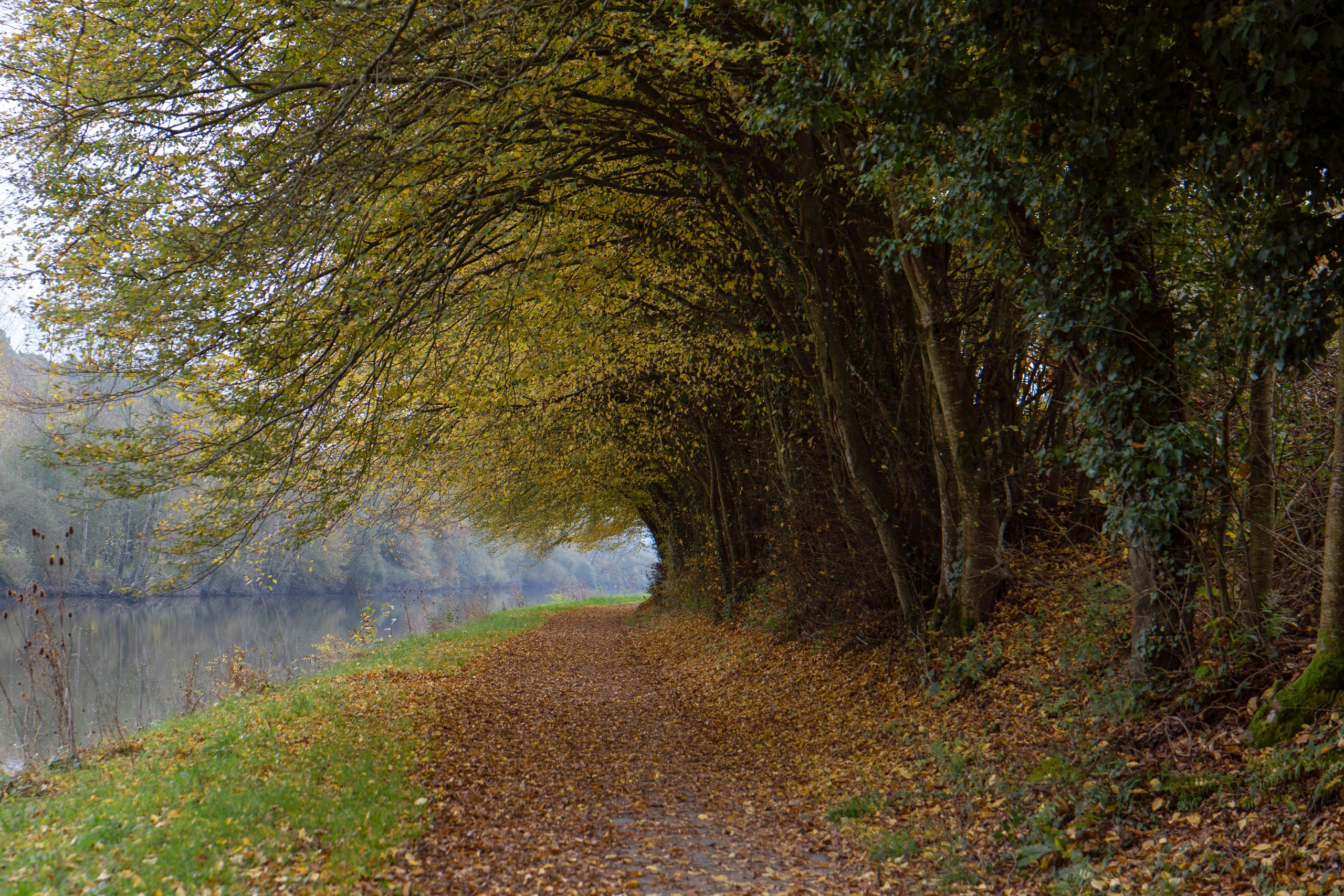 Paysages. Portrais créatifs de familles et individuels, Ile et Vilaine, France