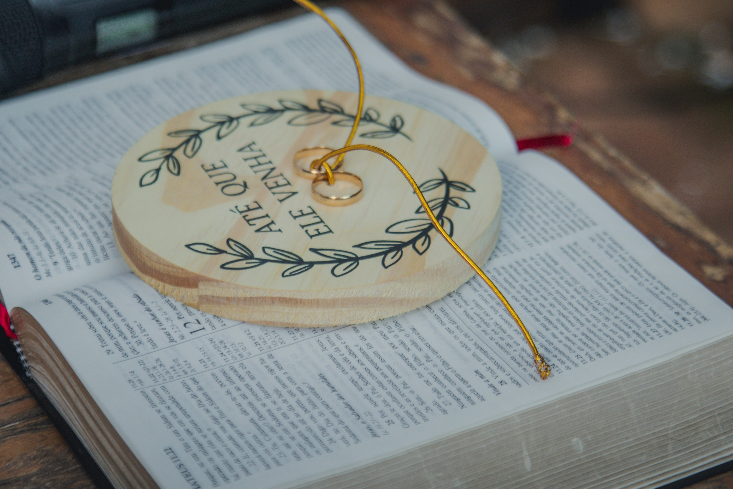 PALOMA & JHONATAS. Fotógrafos de casamento. empresas, família em Catanduva SP e região, Casal Gonçales