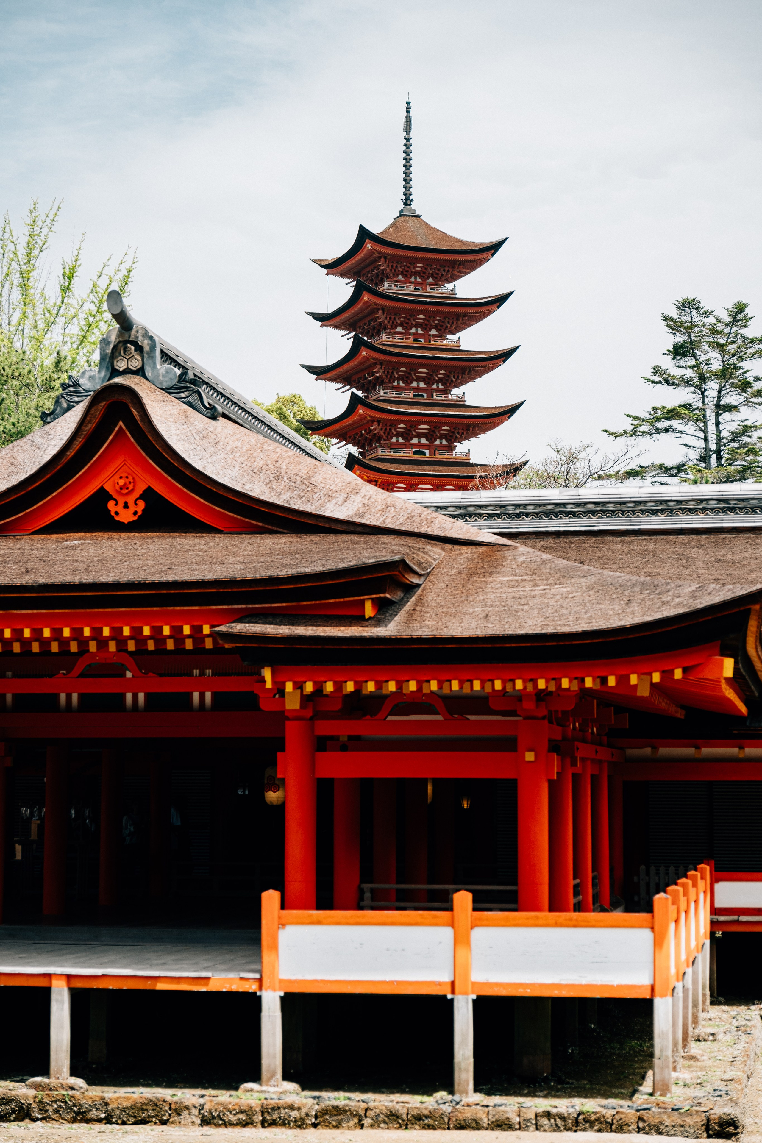 Tim + Karina - PRE - Wedding- Japan - Isola di Miyajima. Trinacria Fotografia