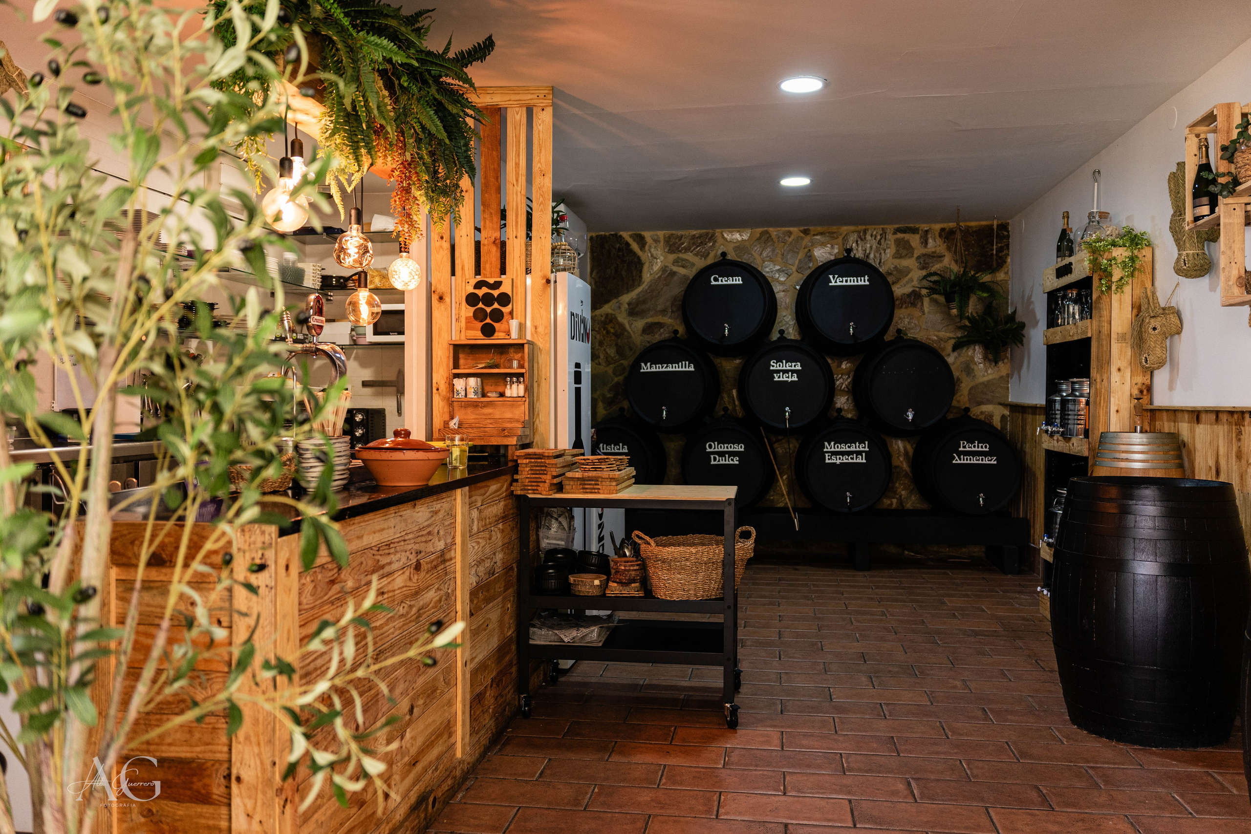 Fotografía gastronómica. Inicio