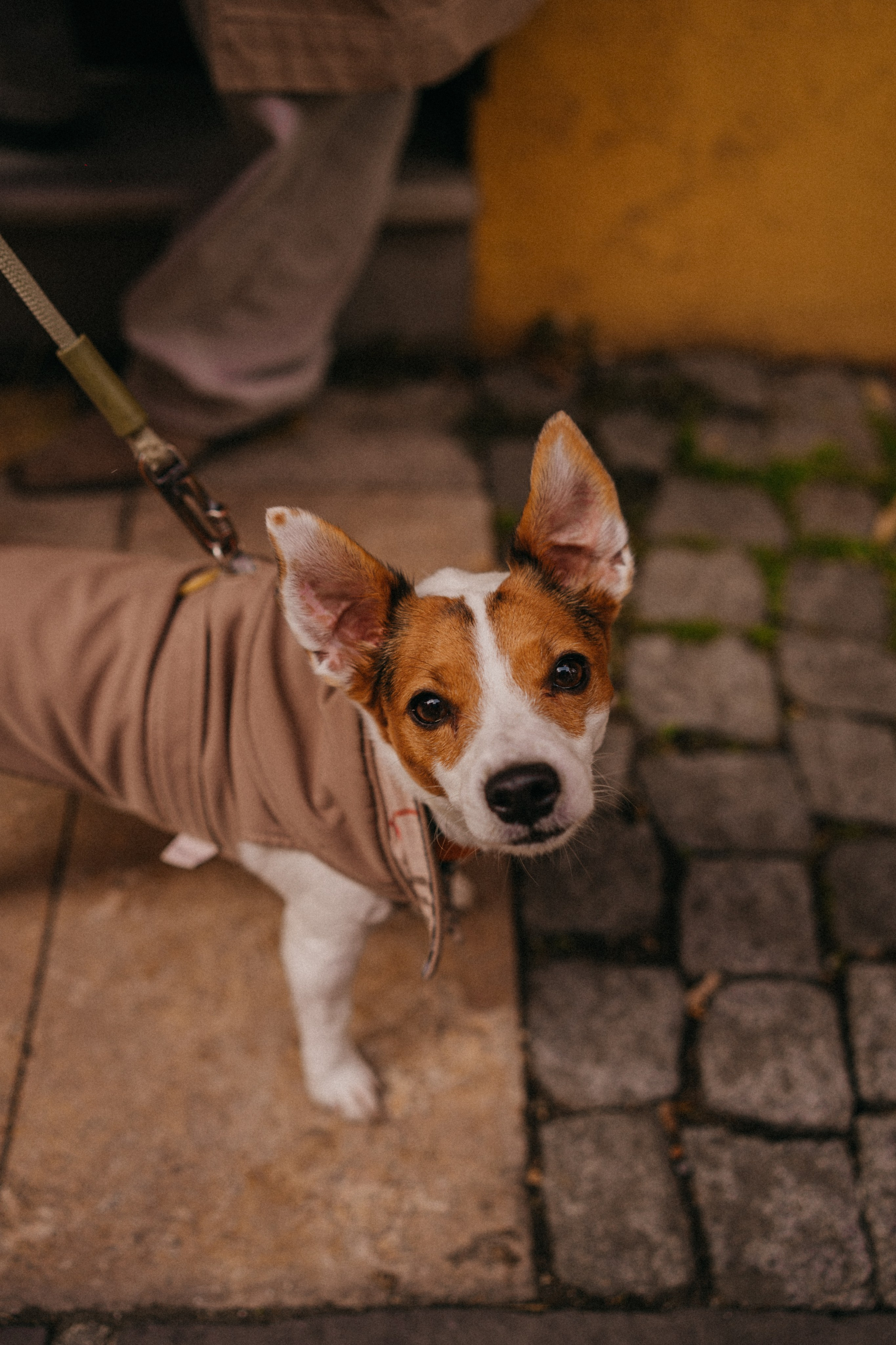 Зу & Саша. Фотограф Москва Ларина Юлия