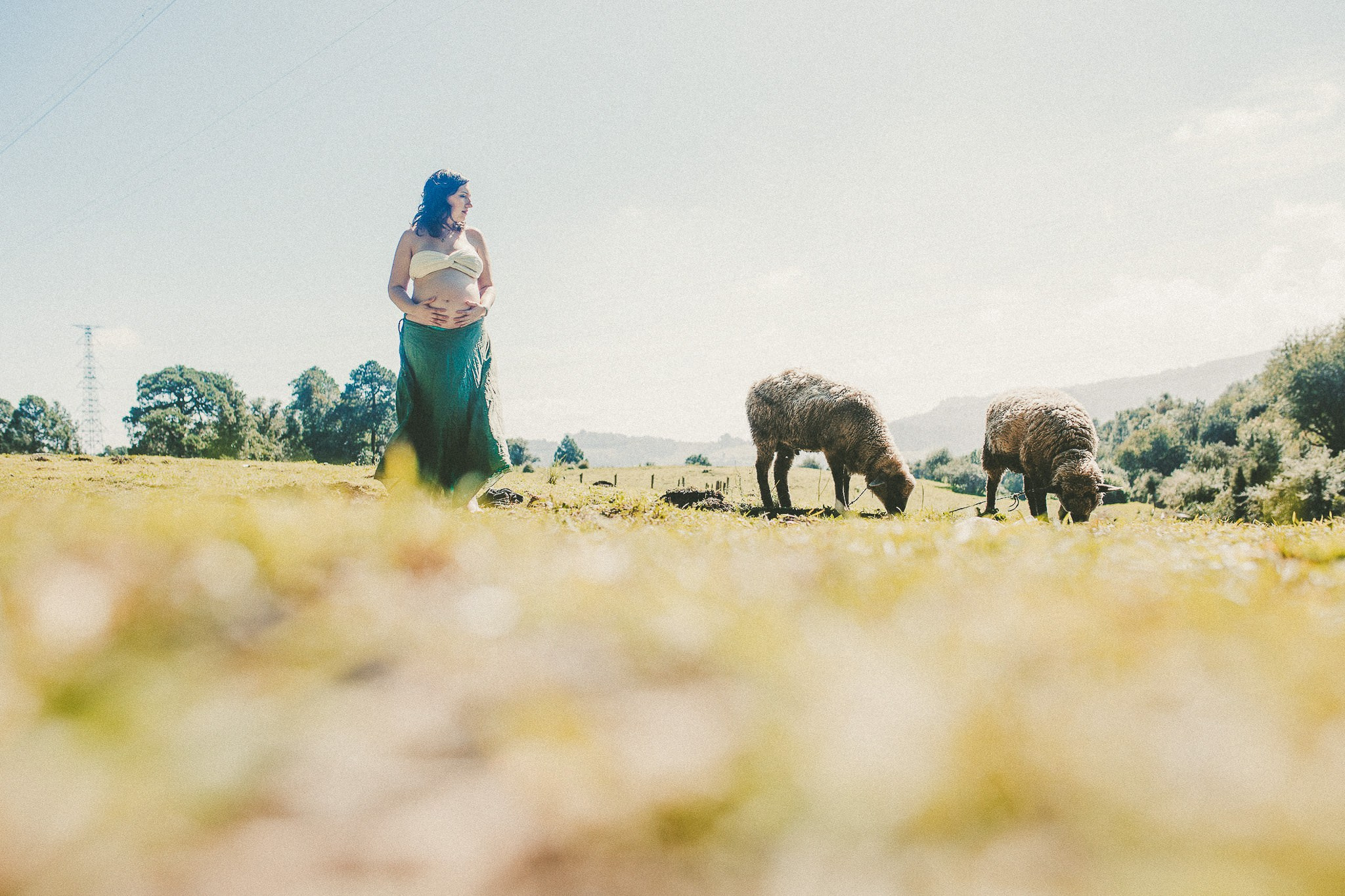 Lua. Wedding and family photographer in Mexico City
