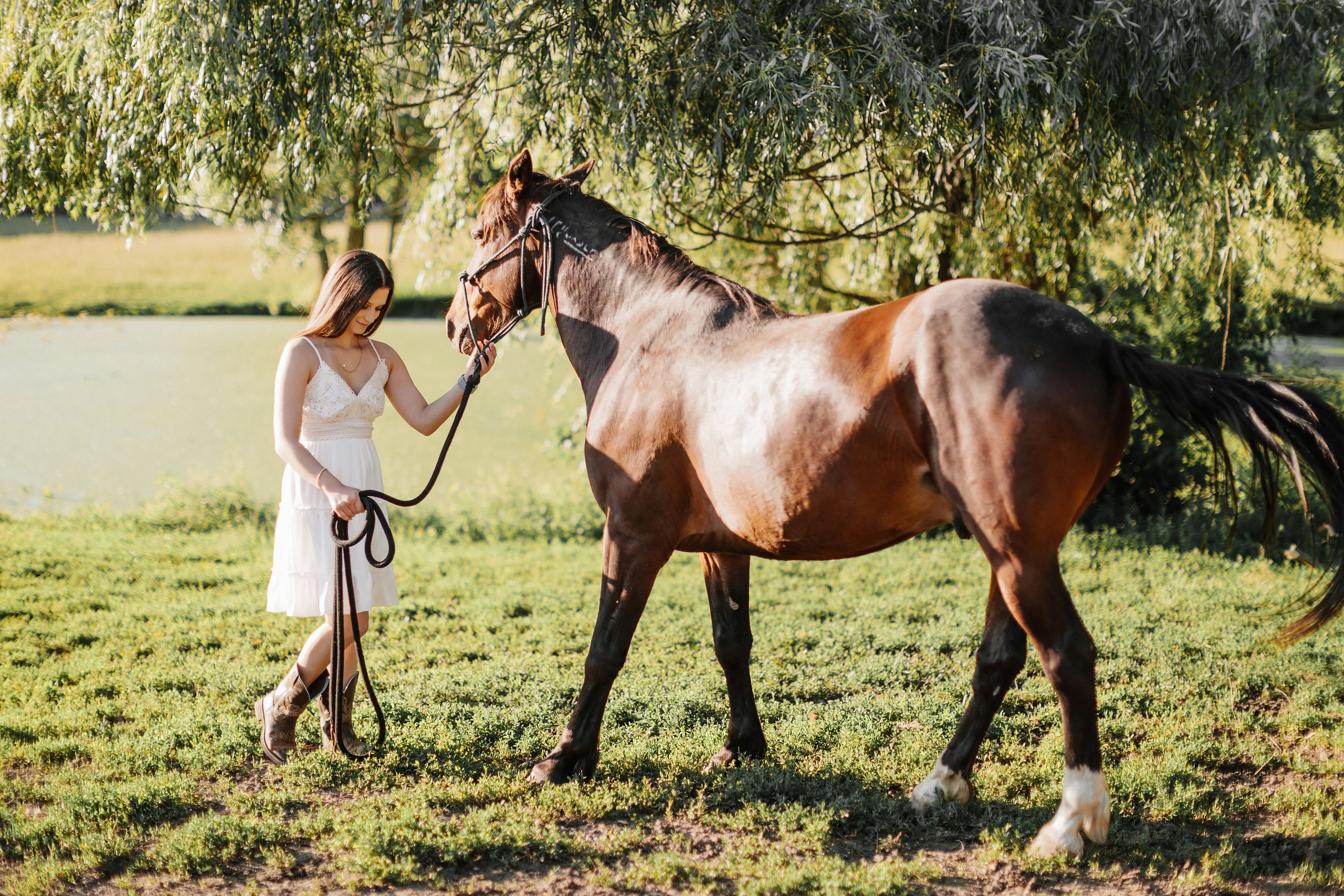 30.05.24 Family Photoshoot. Wedding family event photographer in Chicago Nick Yushevich