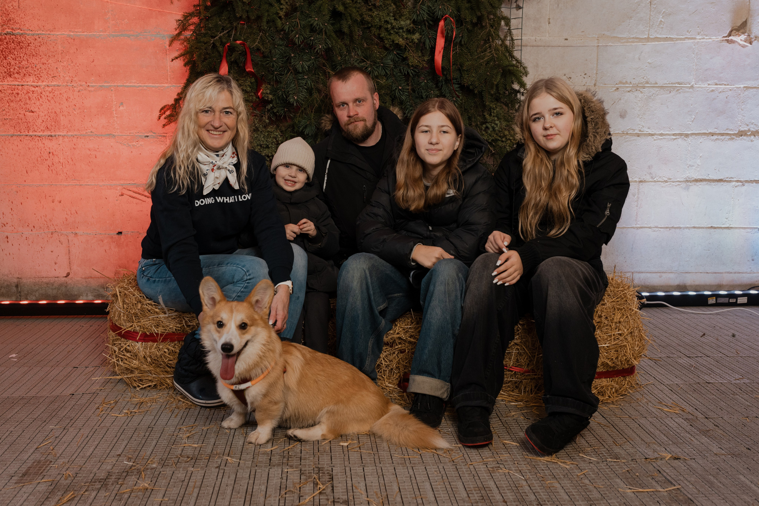 Corgi fest. Event Photography