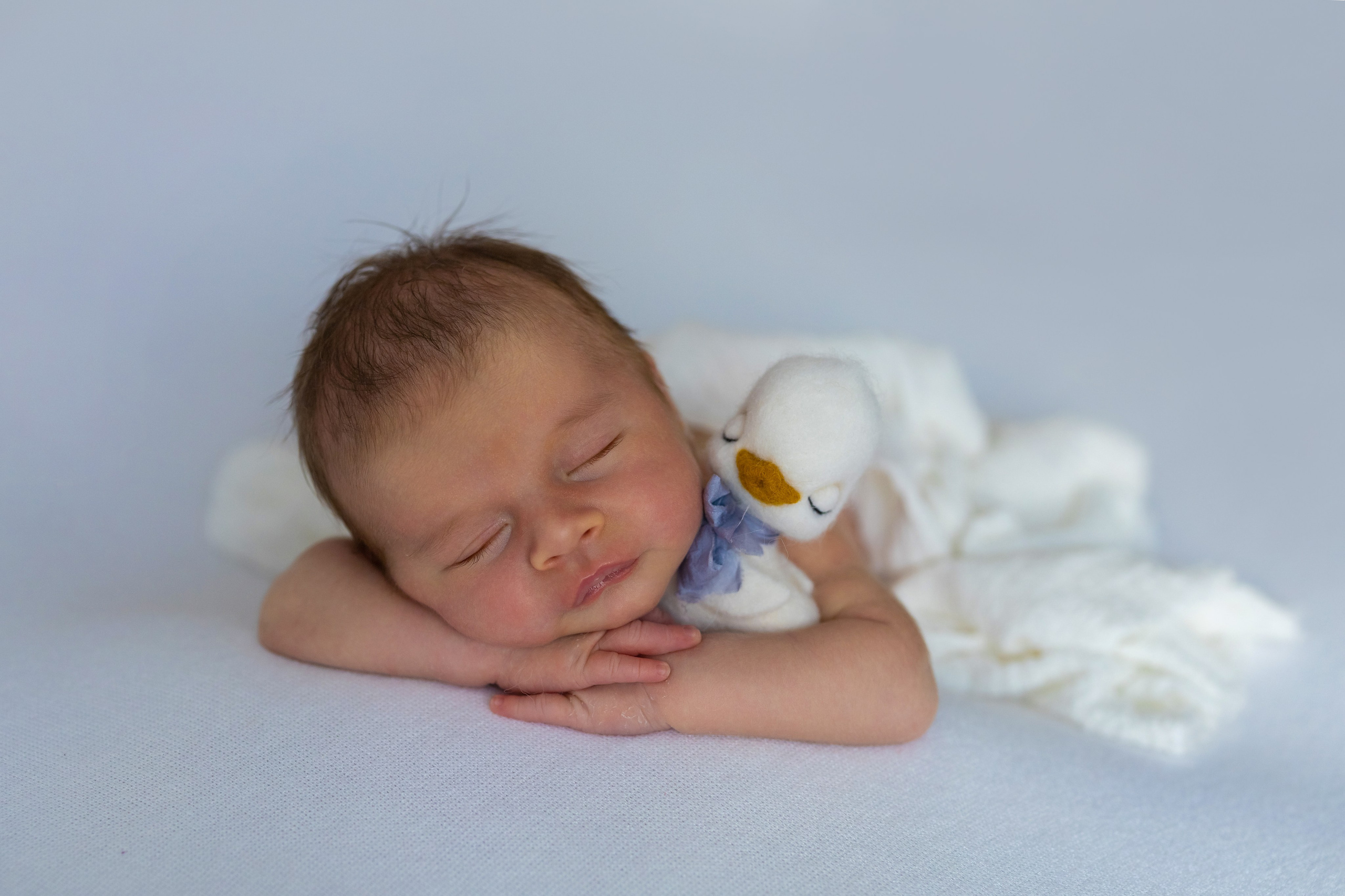 Nounascuti. Fotograf de familie la Ungheni și Reggio-Emilia, Alessia Slivca