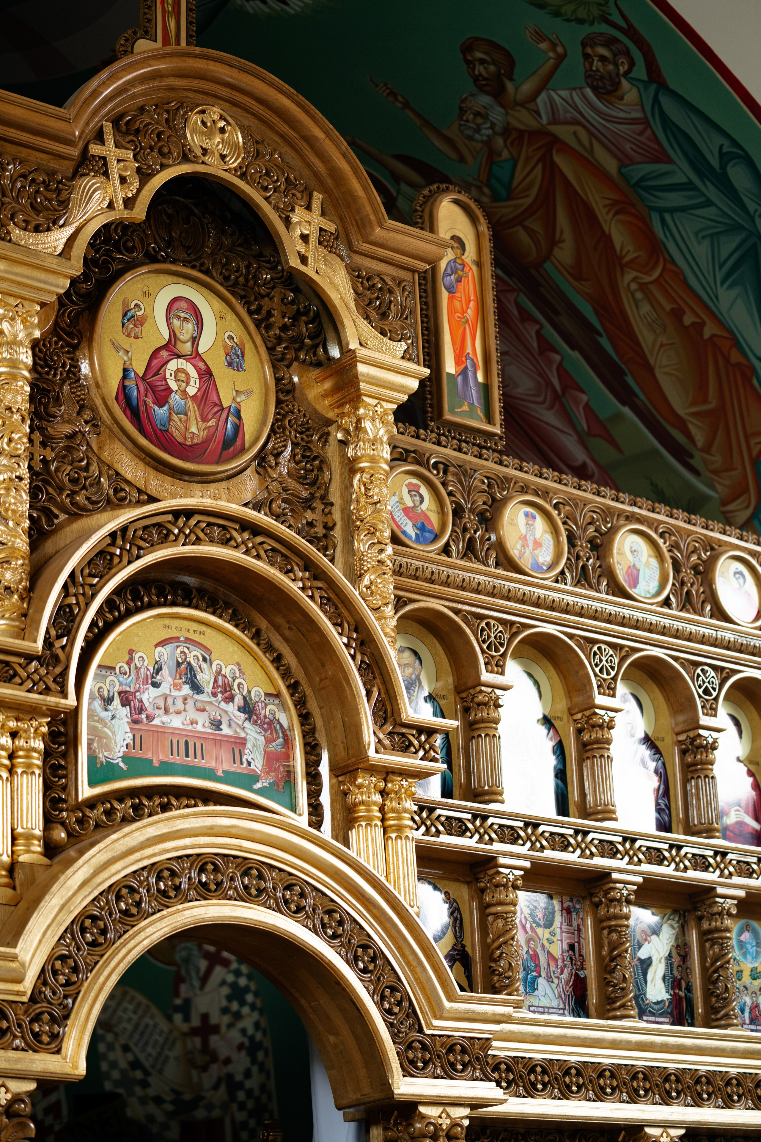 Adele Mari. Studio Timis