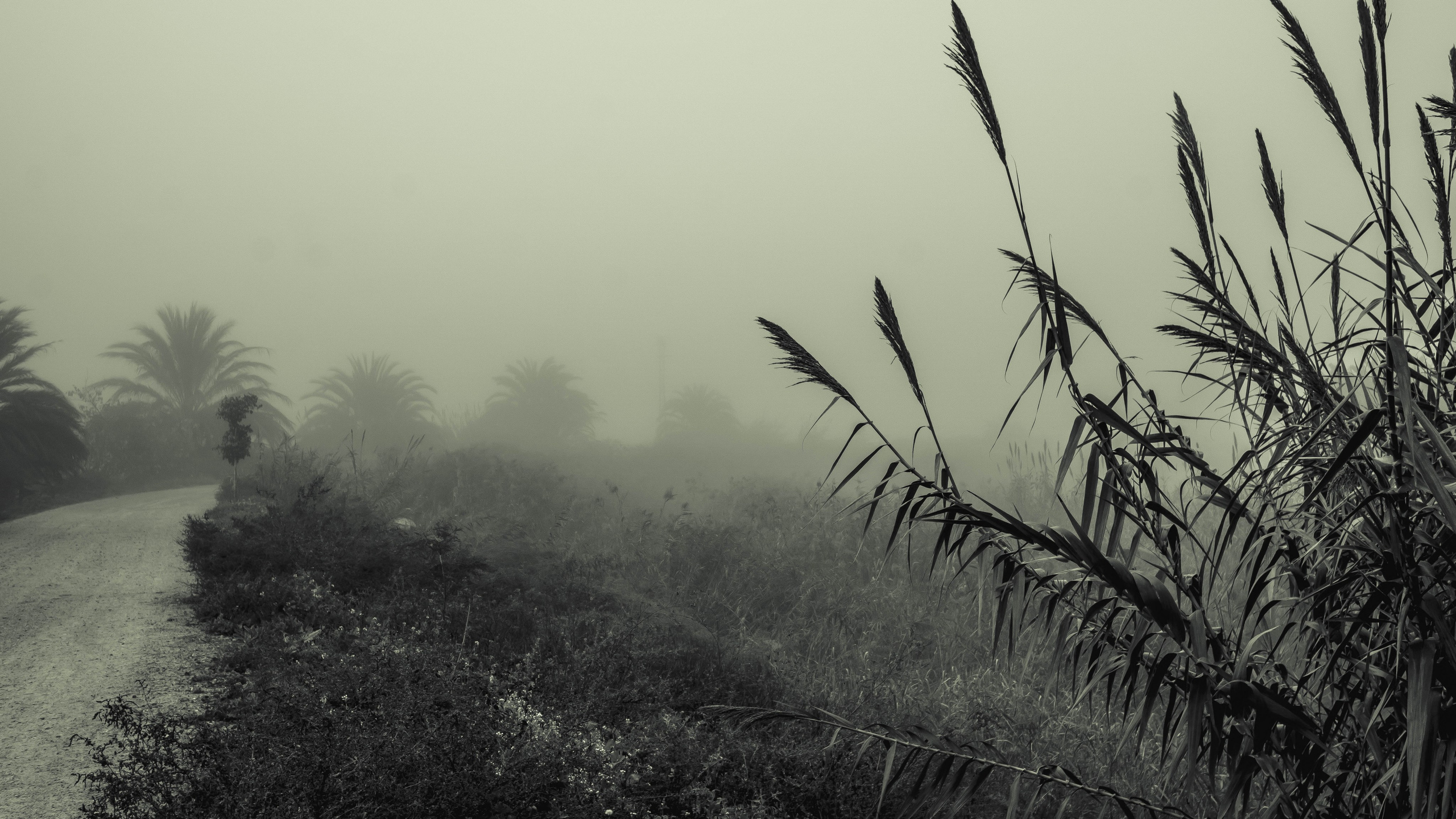 Rojales. Alba del Norte Studio