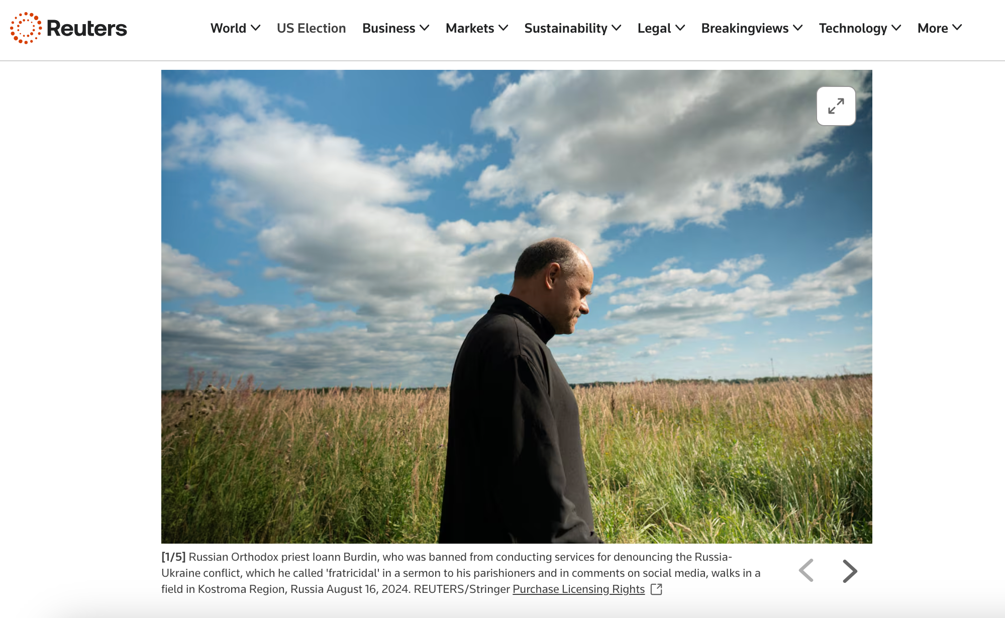 Publications. Marina Sycheva