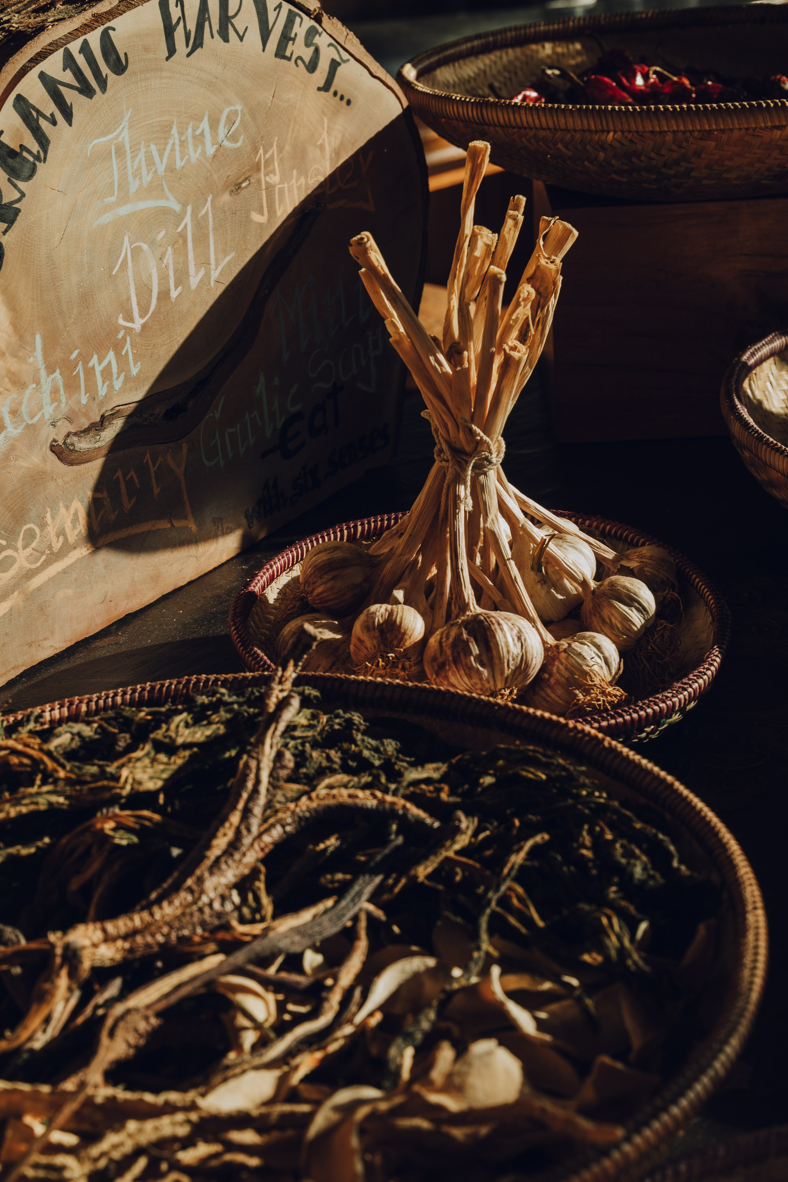 Six Senses, Bhutan / 2026 Thimphu & Punakha. Editorial photographer Yuliya Drazdovich
