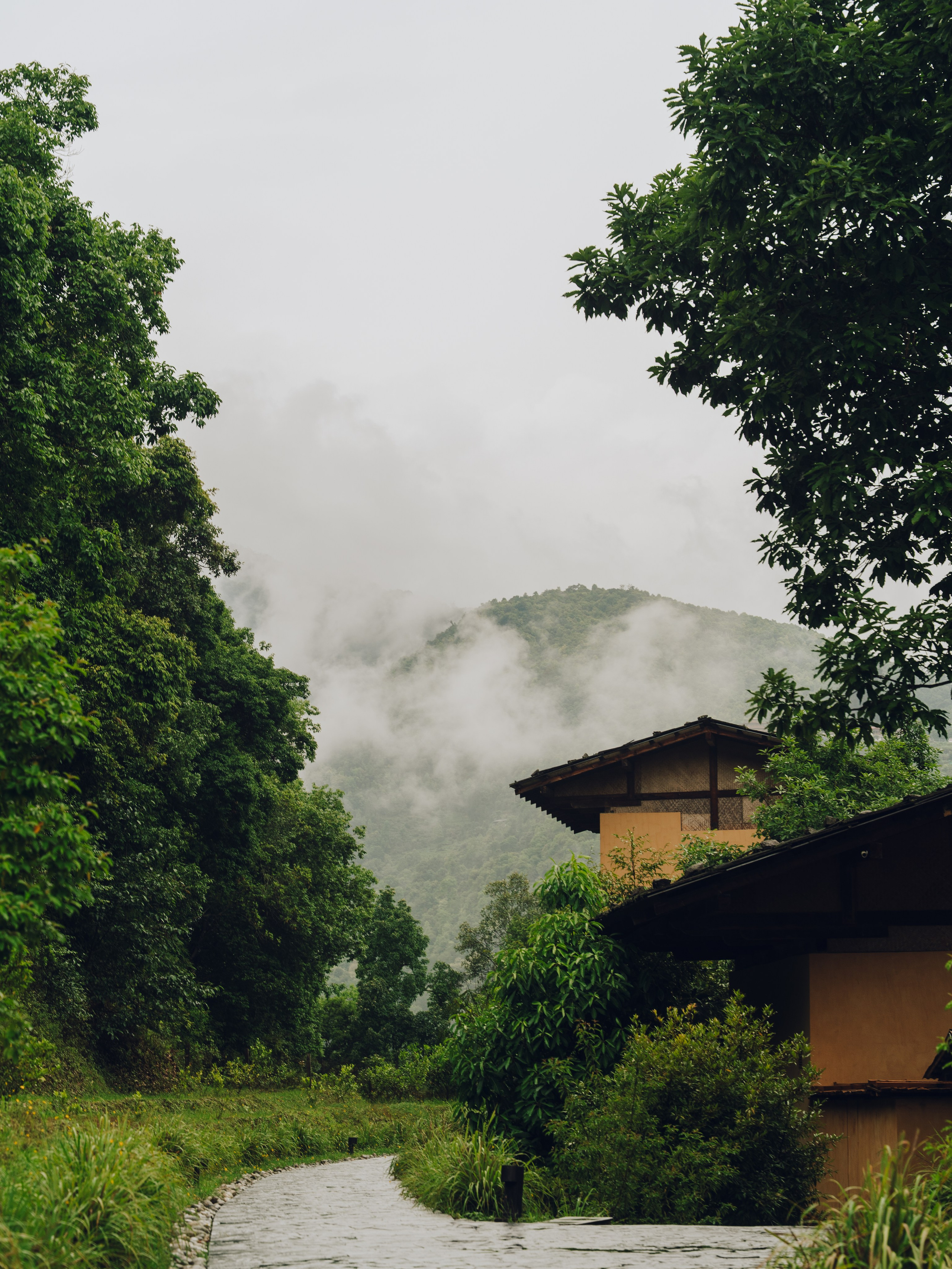 Six Senses, Bhutan / 2026 Thimphu & Punakha. Editorial photographer Yuliya Drazdovich