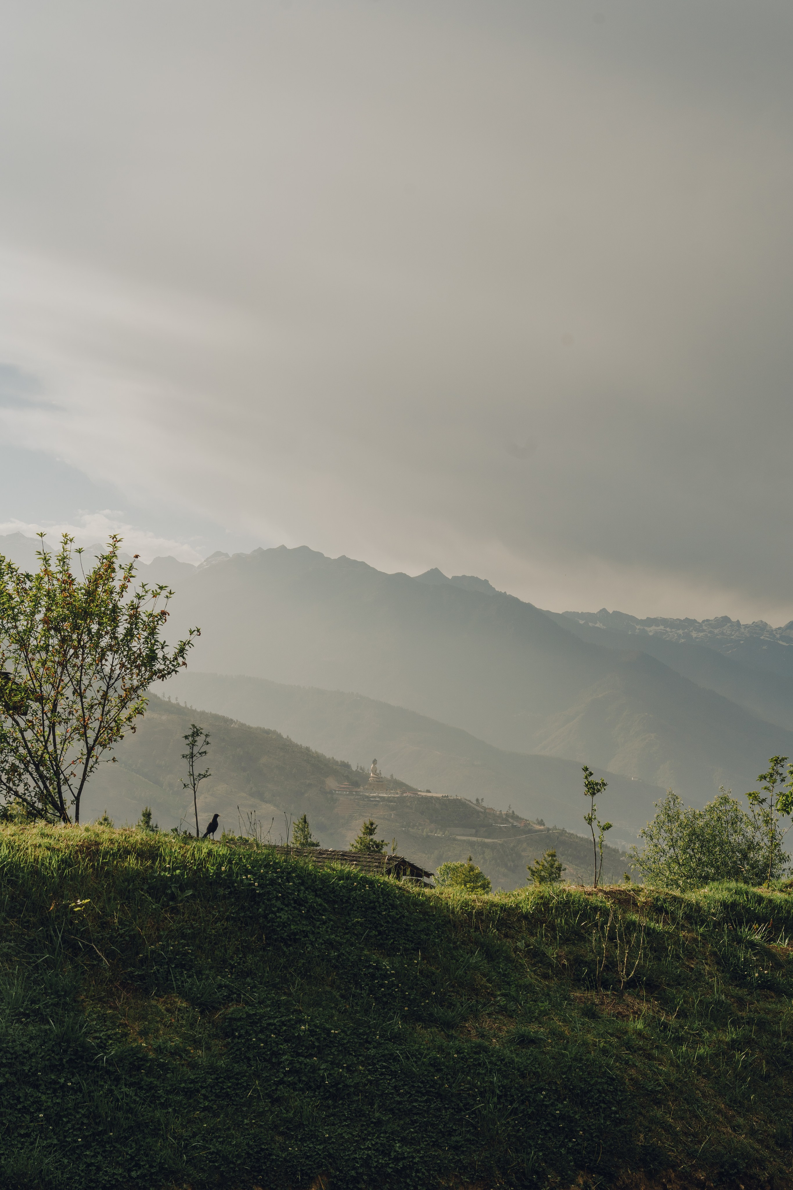 Six Senses, Bhutan / 2026 Thimphu & Punakha. Editorial photographer Yuliya Drazdovich