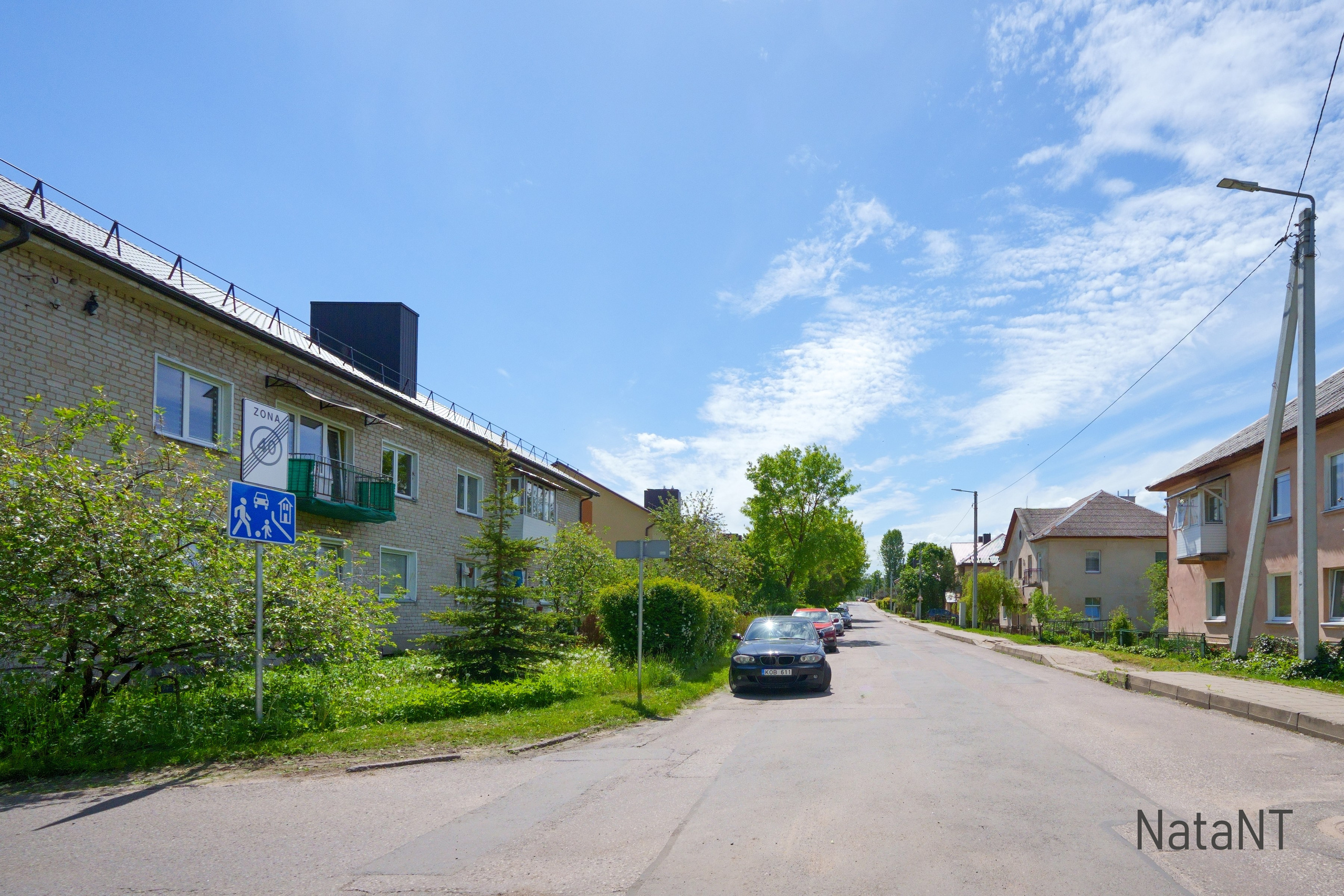 Grigiškės. Elina Sapiega fotografė Vilniuje