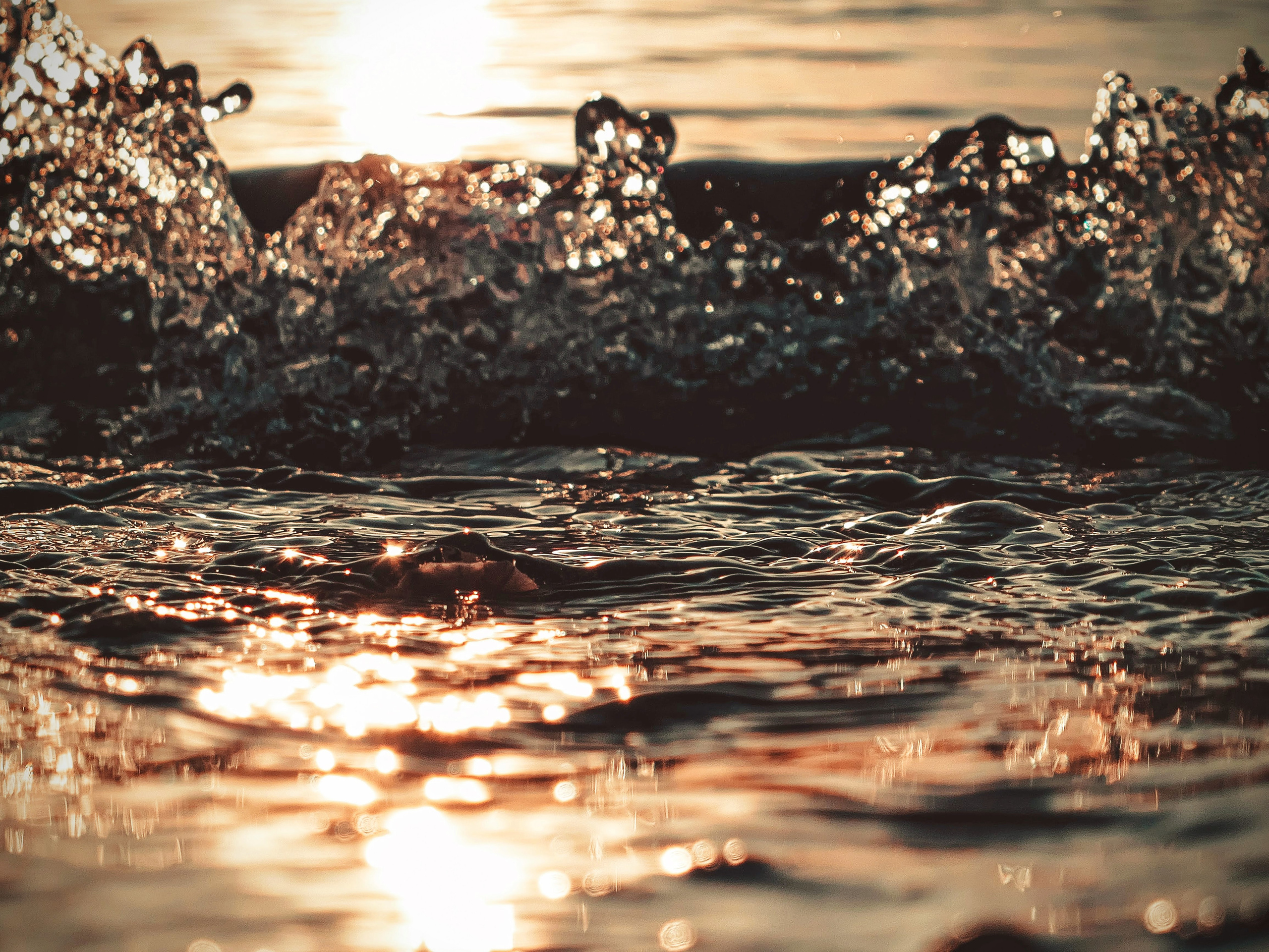 Portfolio. Photographer in Sotenäs municipality. Fotograf i Sotenäs kommun