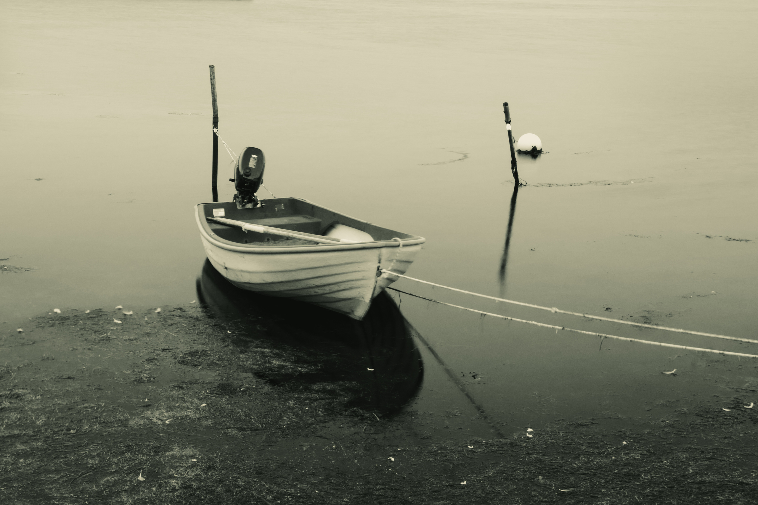 Portfolio. Photographer in Sotenäs municipality. Fotograf i Sotenäs kommun