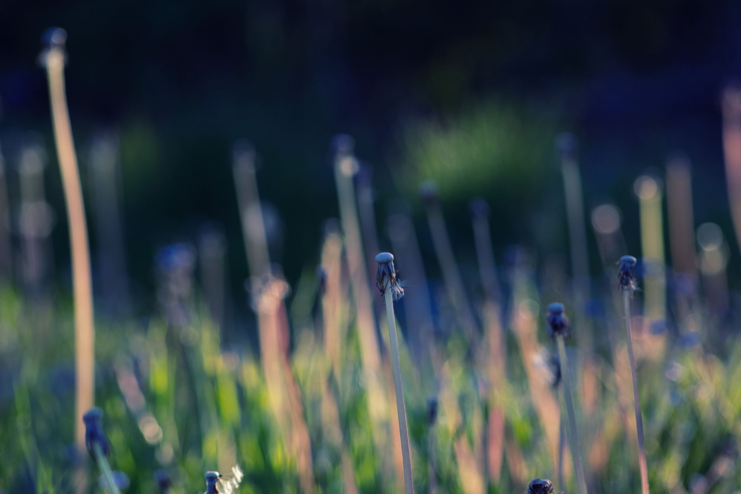 Portfolio. Photographer in Sotenäs municipality. Fotograf i Sotenäs kommun