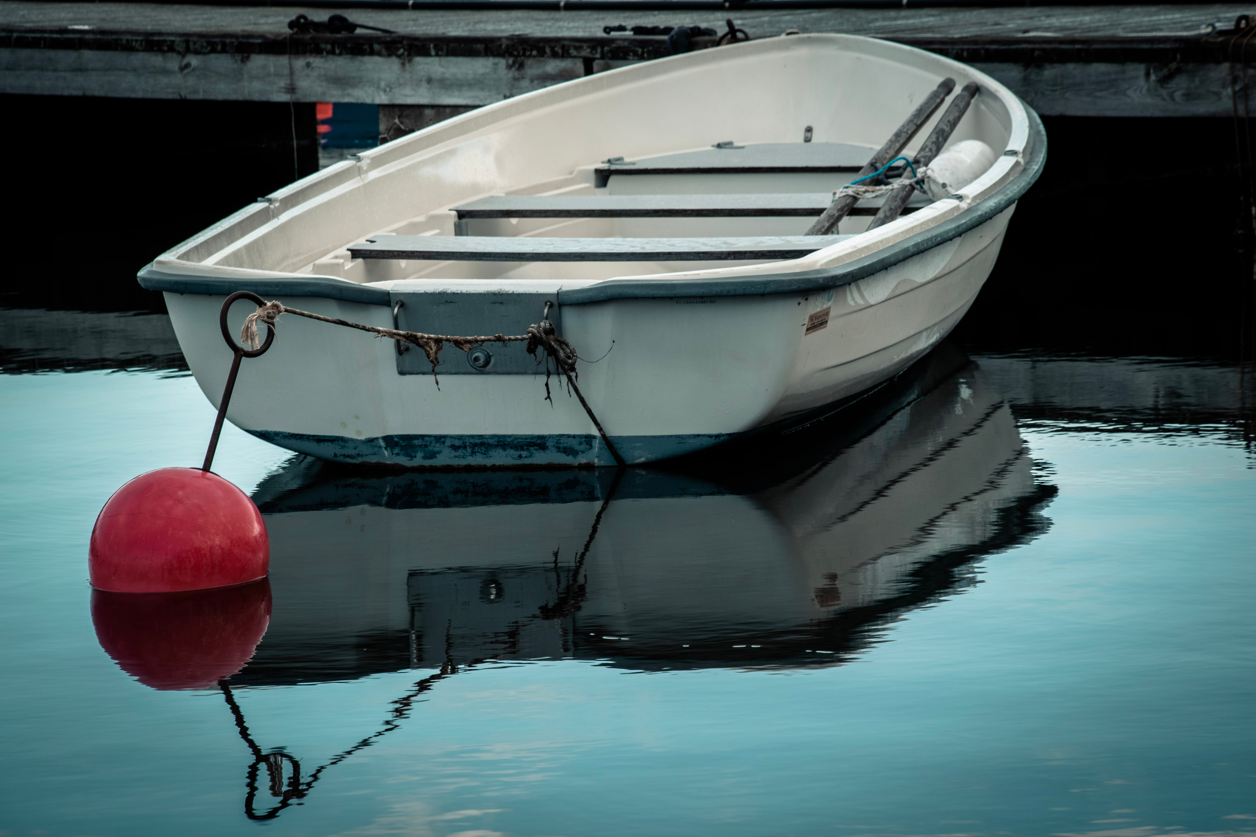 Portfolio. Photographer in Sotenäs municipality. Fotograf i Sotenäs kommun