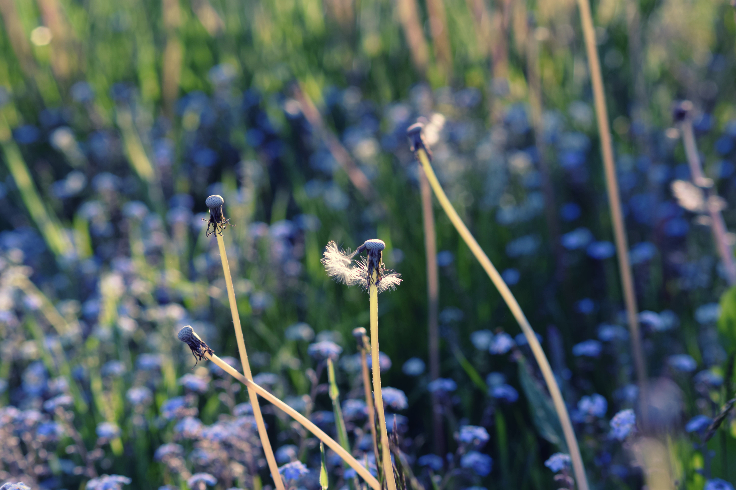 Portfolio. Photographer in Sotenäs municipality. Fotograf i Sotenäs kommun