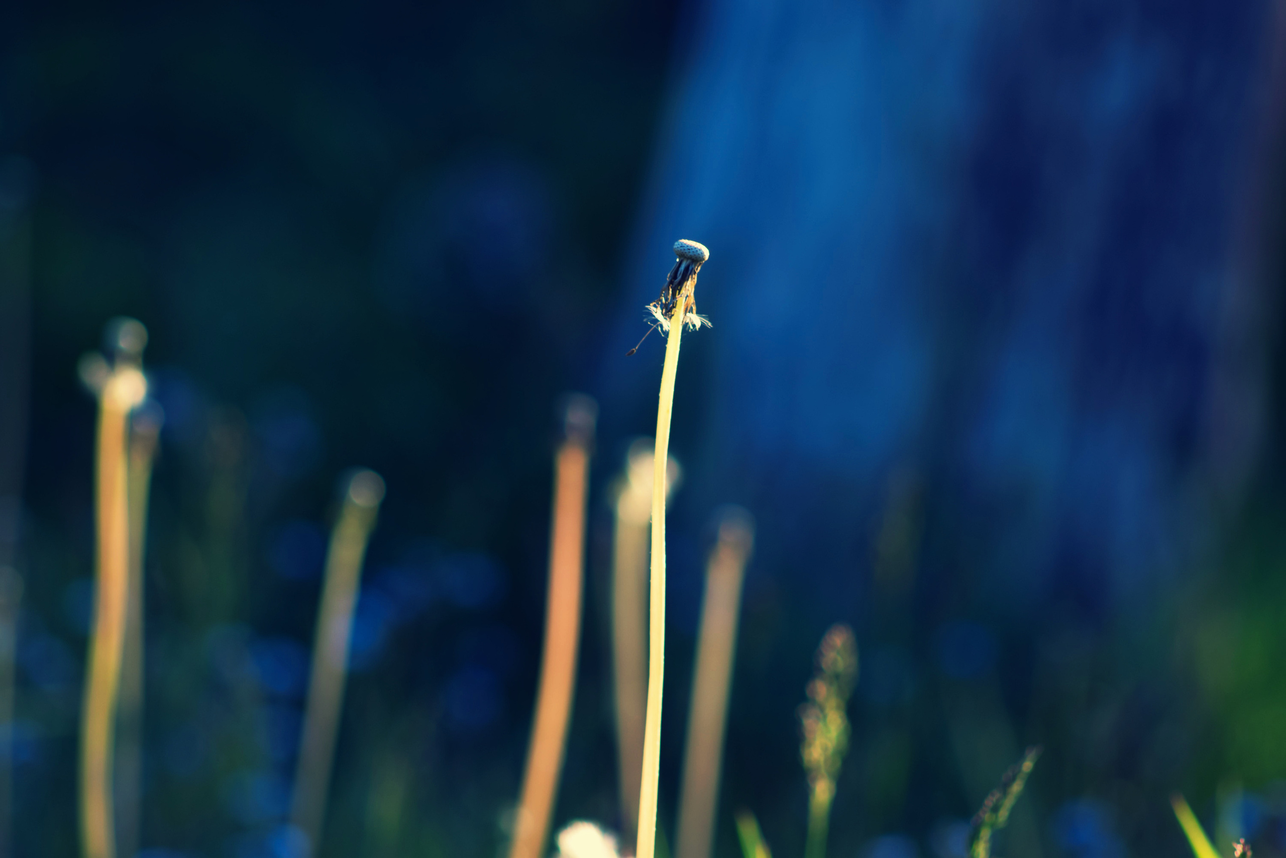 Portfolio. Photographer in Sotenäs municipality. Fotograf i Sotenäs kommun