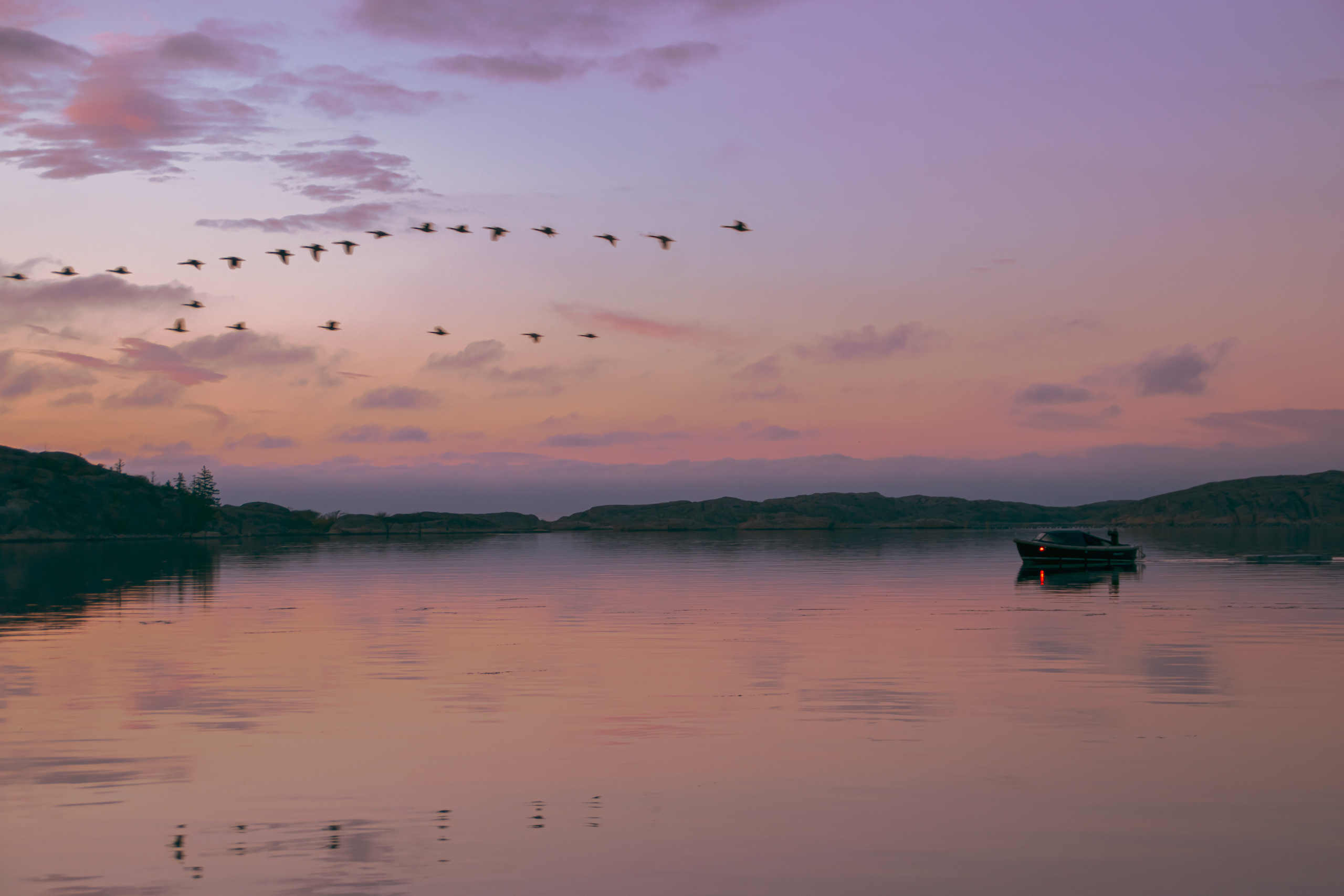 Portfolio. Photographer in Sotenäs municipality. Fotograf i Sotenäs kommun