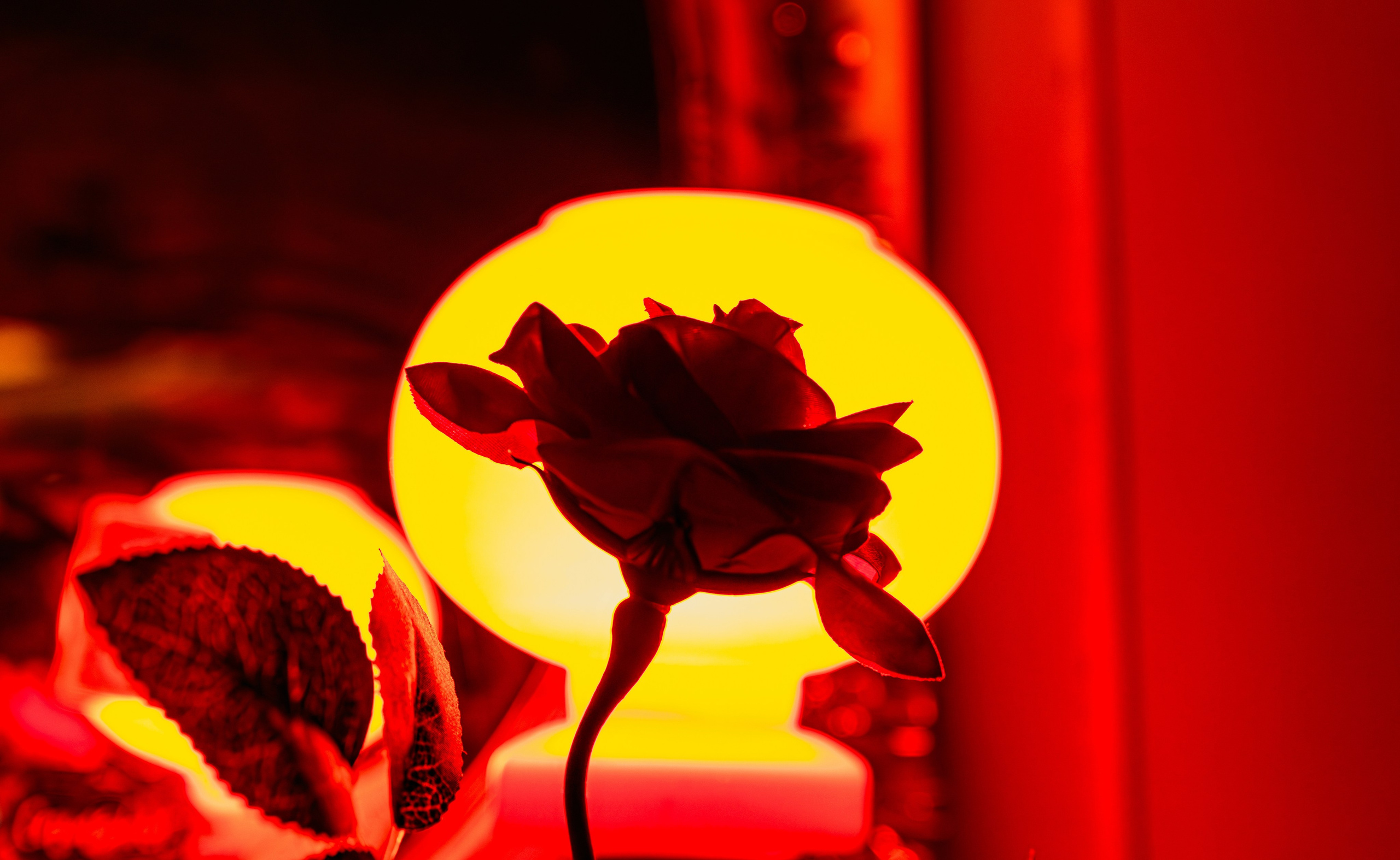 Photo reportage from a conference. Victoria Fedoseenko. Photographer from Serbia