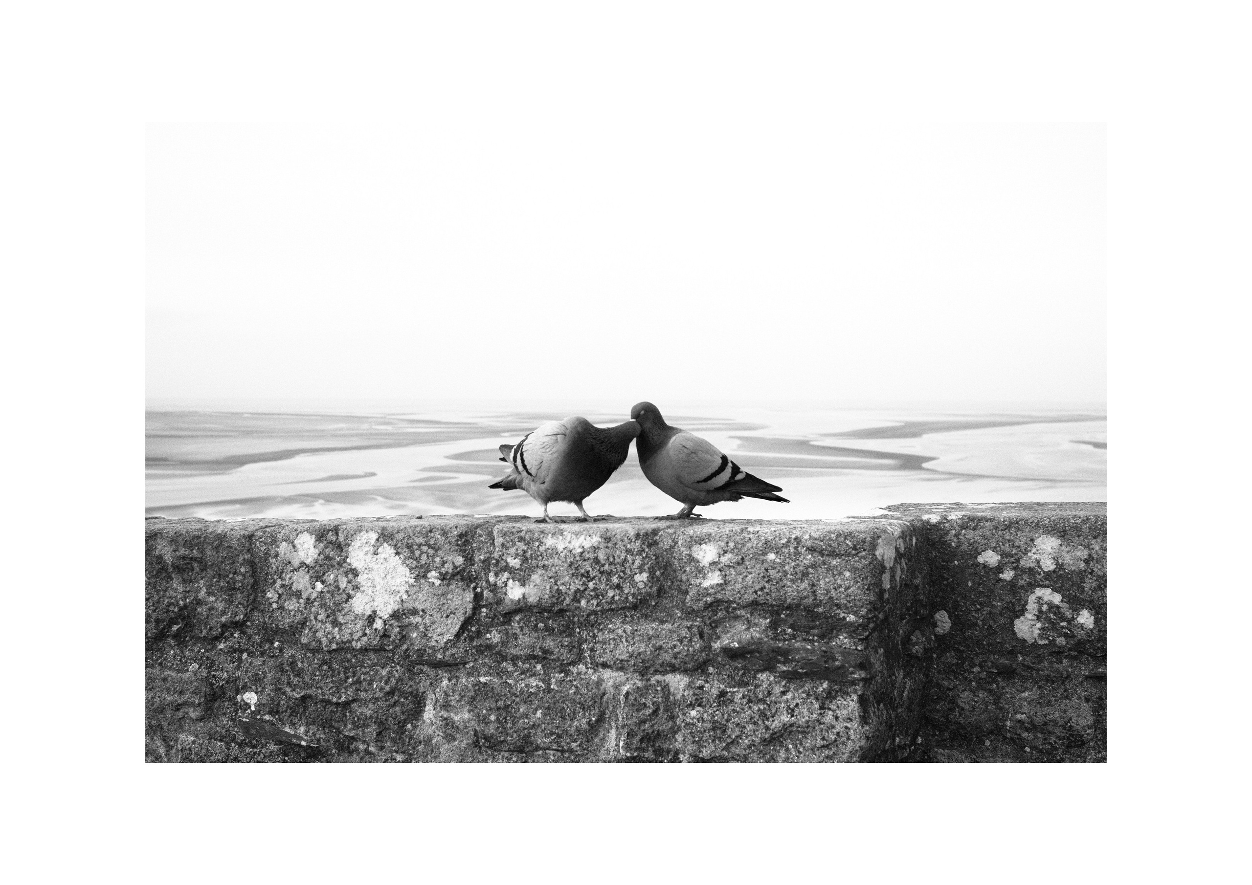 B&W. Cinema that you’ll never see