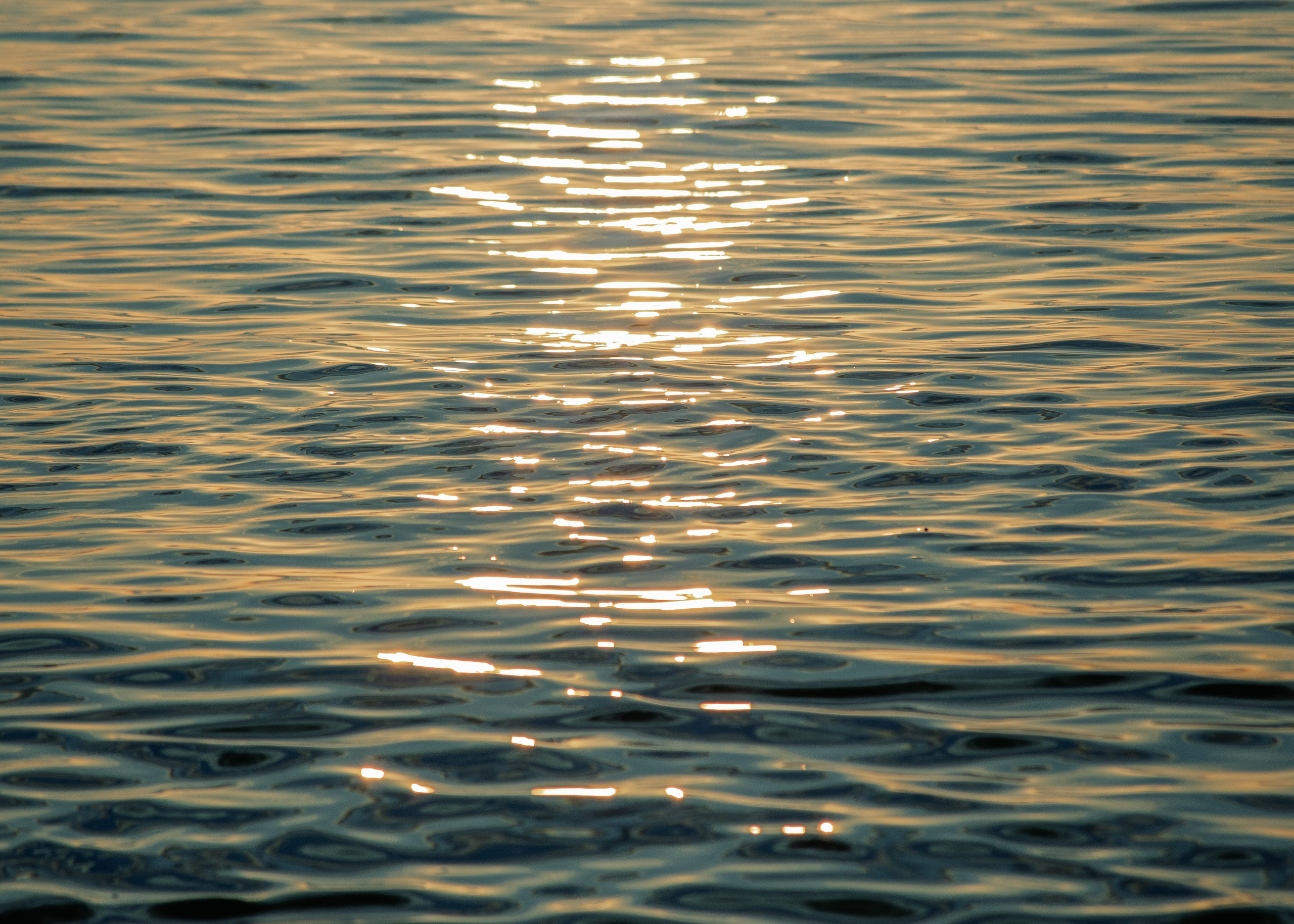 Urban. PHOTOSTORYNIKA