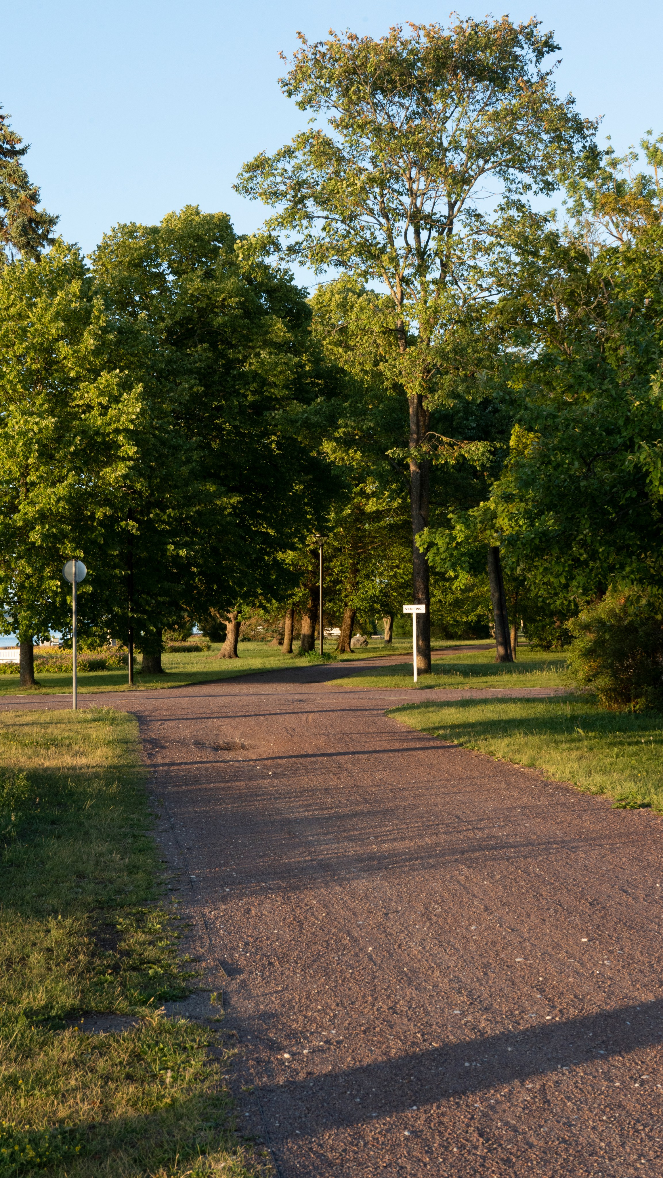 Whispers of Estonia. Photography | Videography | Marketing