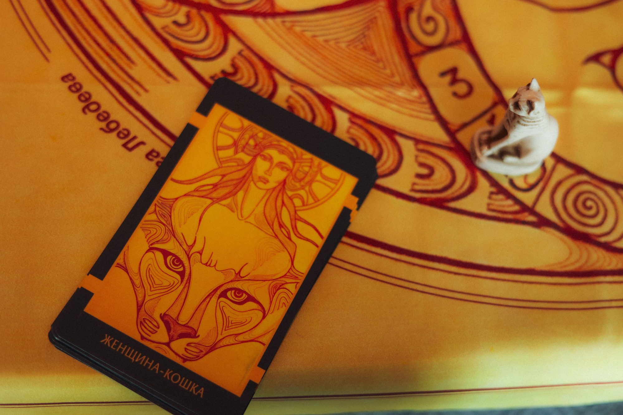 T — WOMEN Game KOSHKA. Main