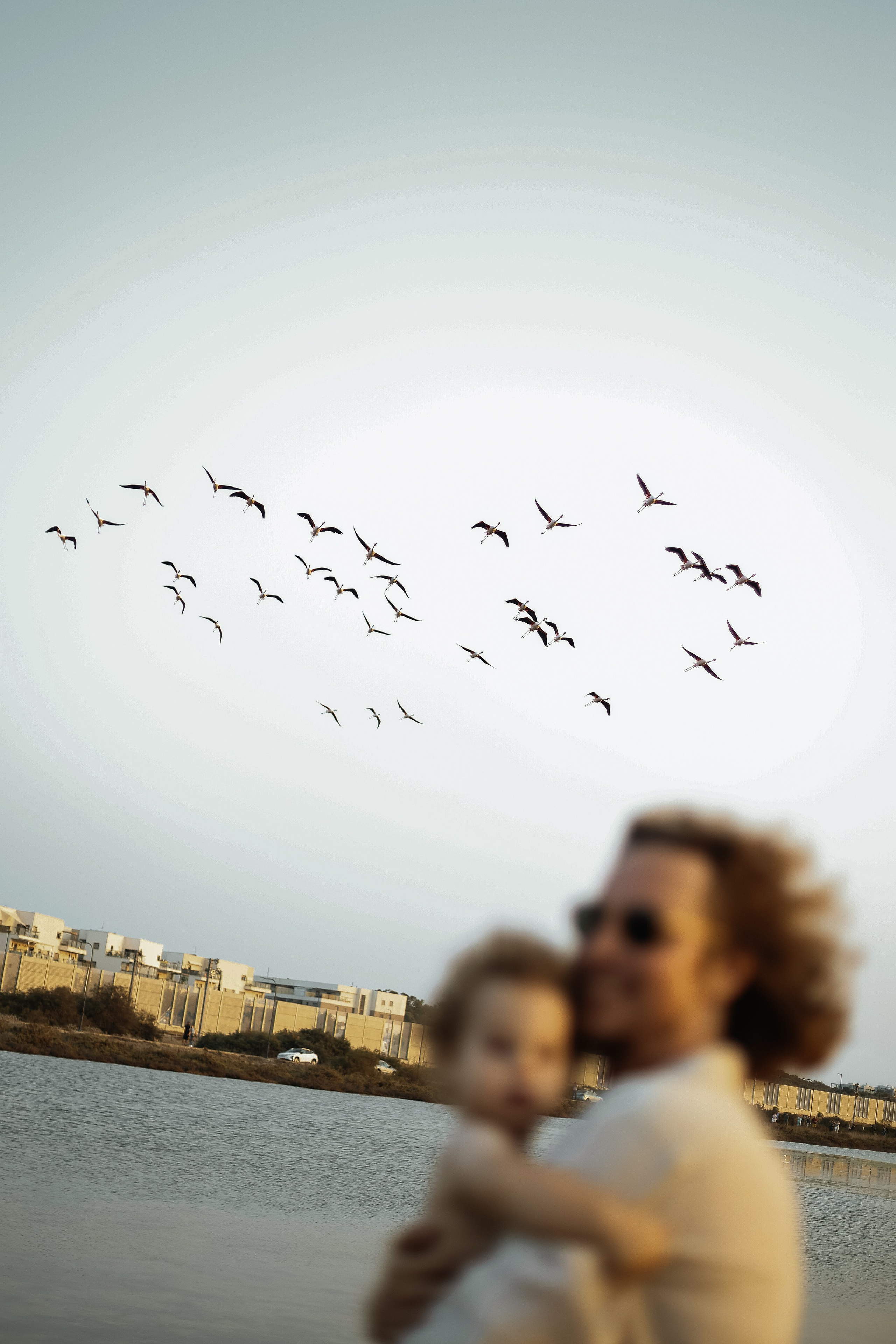 Little curls in Atlit. Family photographer in Israel