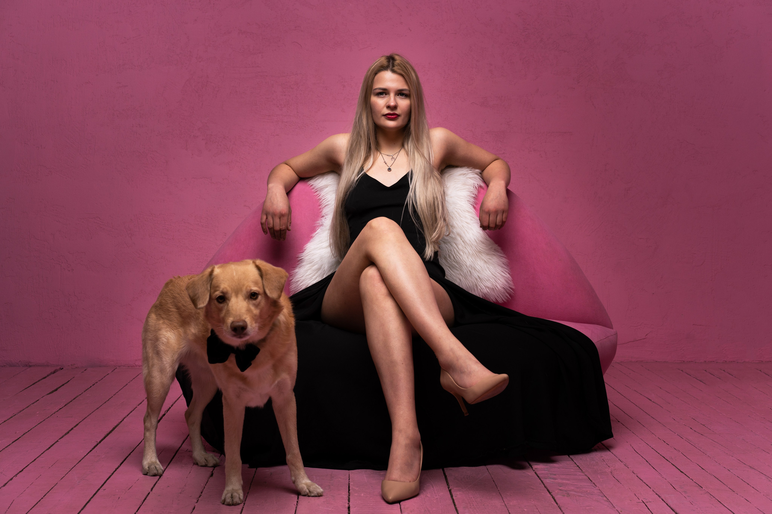 Studio with dogs. Sports and portrait photographer in Riga