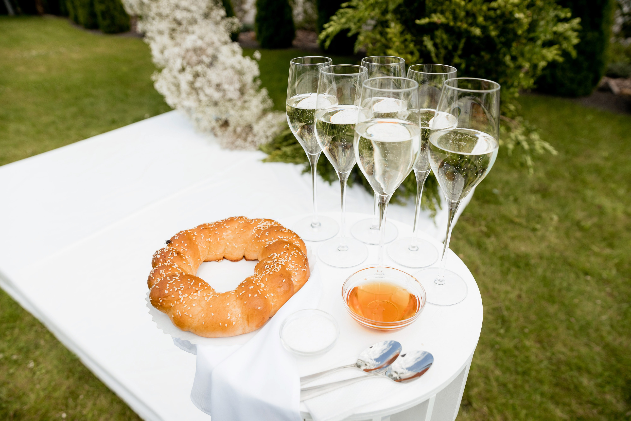 Софія та Юрій. Ірина Терещук