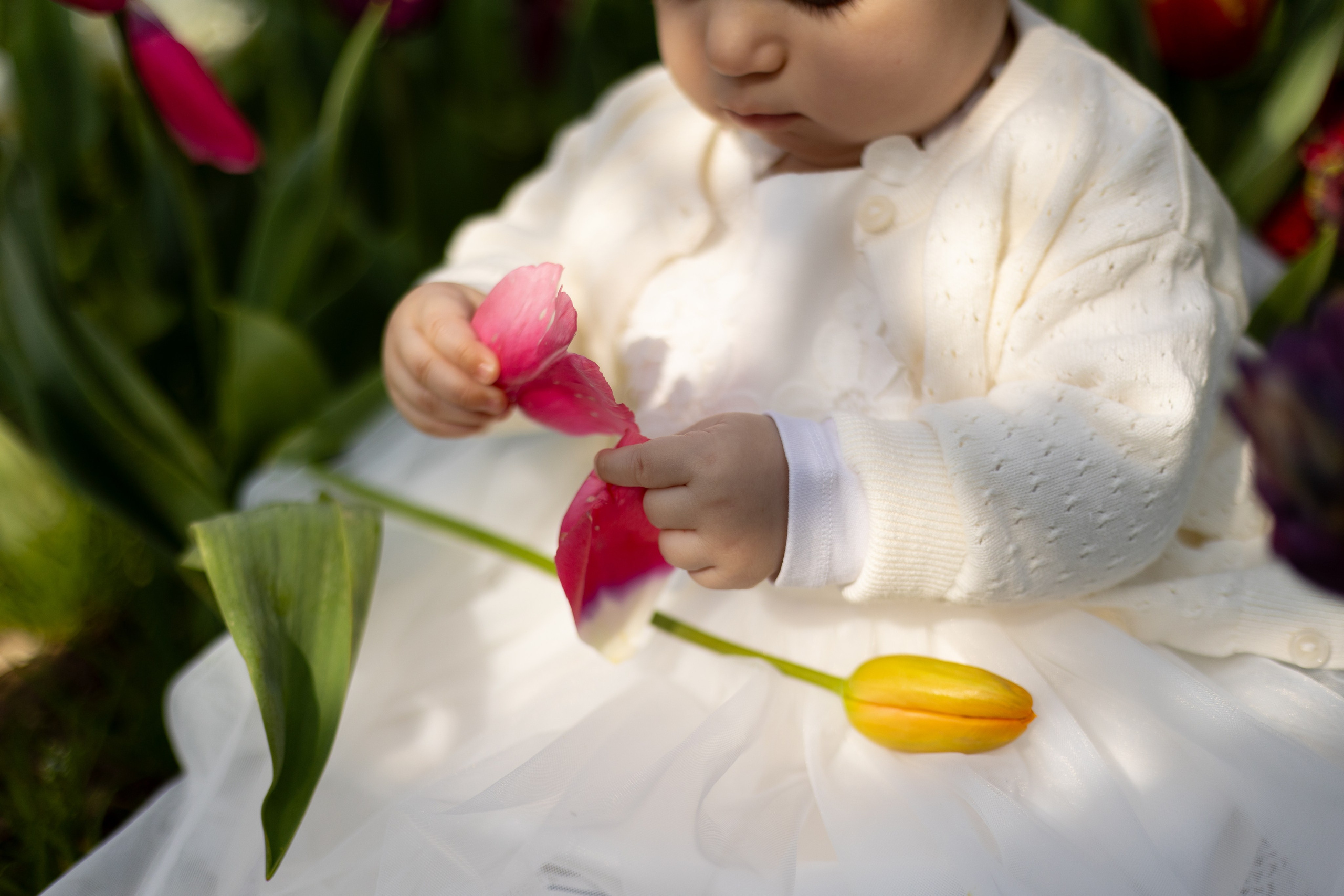 Camilla, Annalisa e Vanni. Luci e Capricci Photography