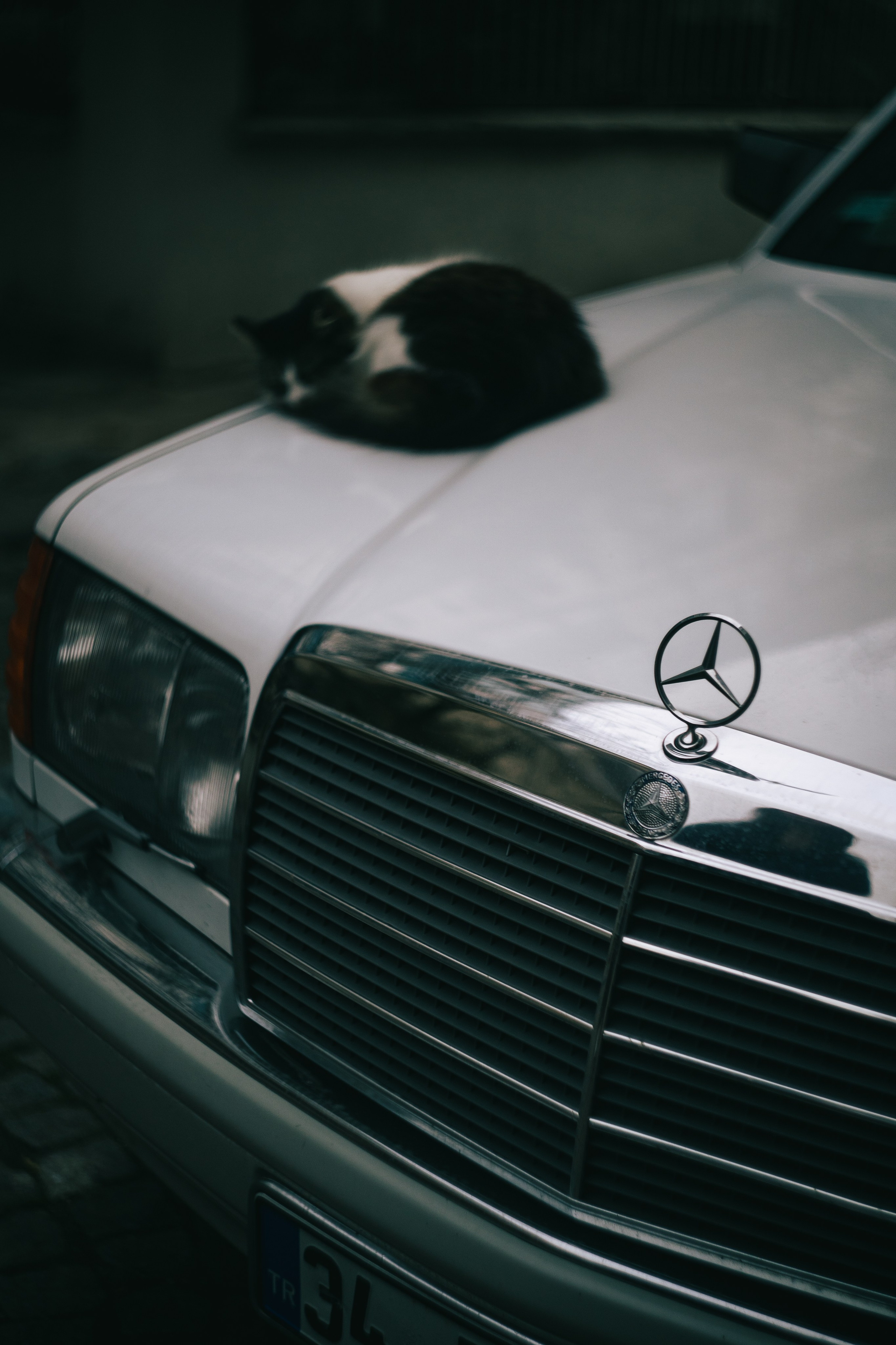 Street. Ryan Hewitt Photographer