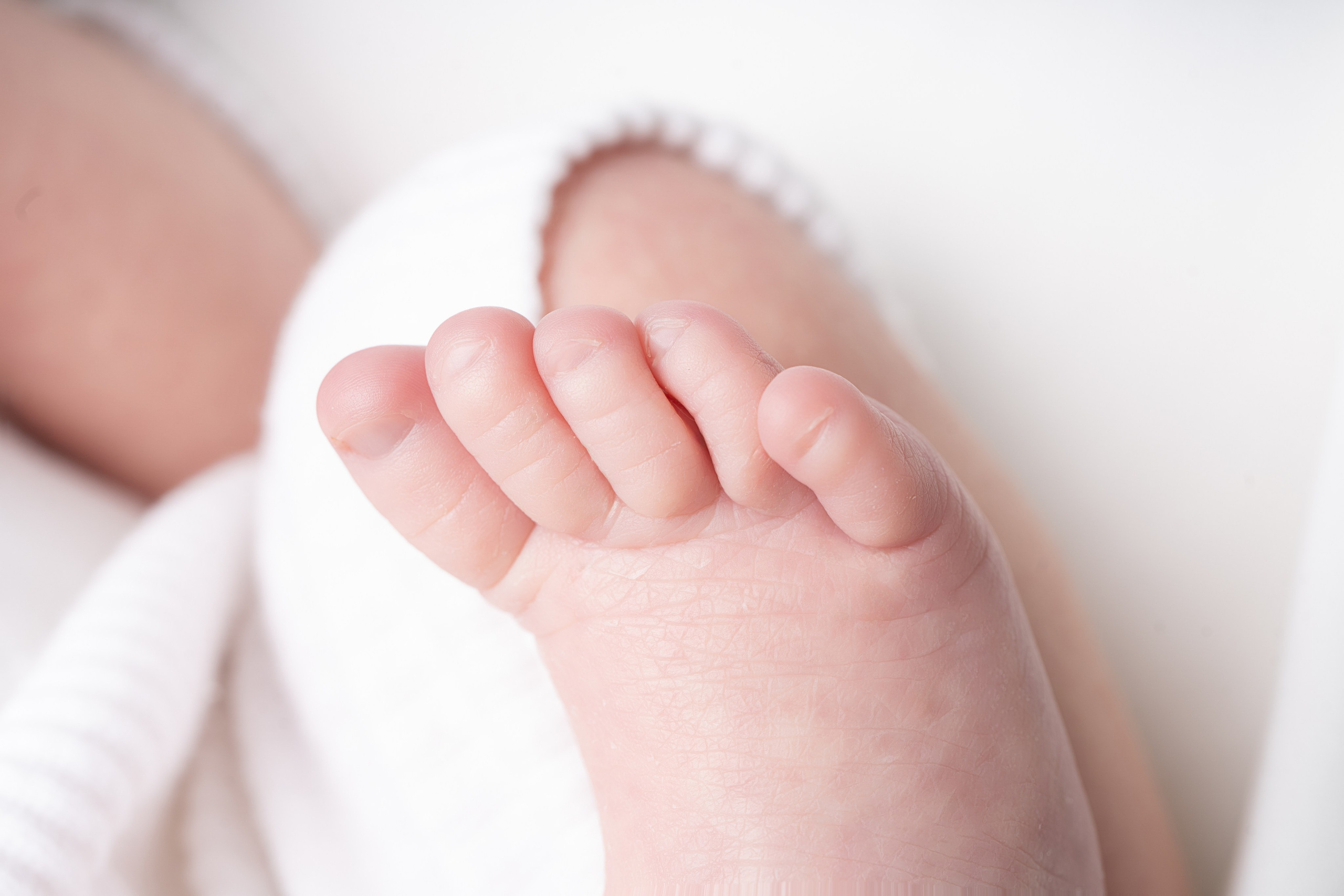 Newborn Photography — Capturing Your Baby’s First Precious Moments. Julia Bolgov Photography | Newborn, Family, Maternity & Milestone Photographer in Bay Area, CA