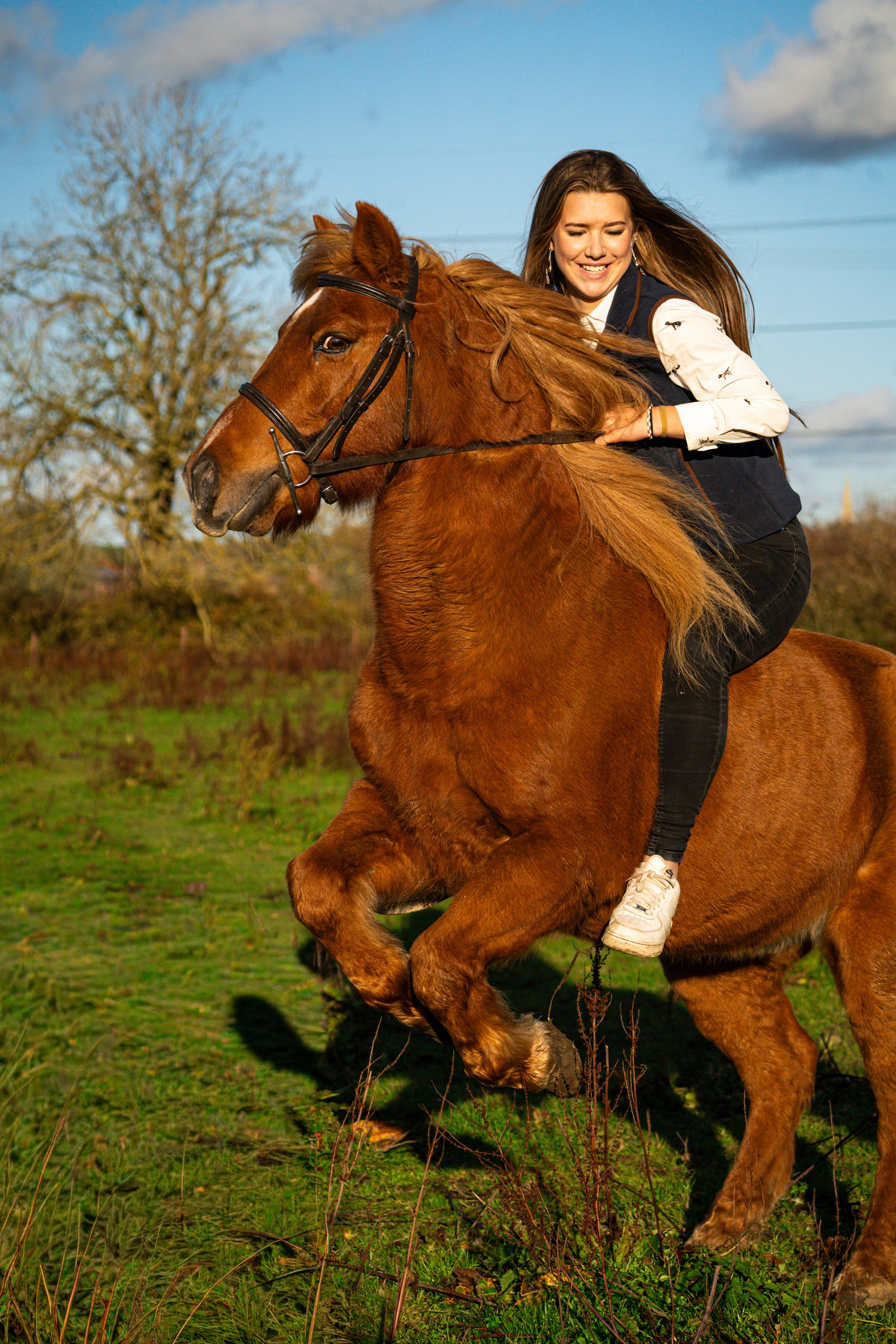 Equestrian. Ryan Hewitt Photographer