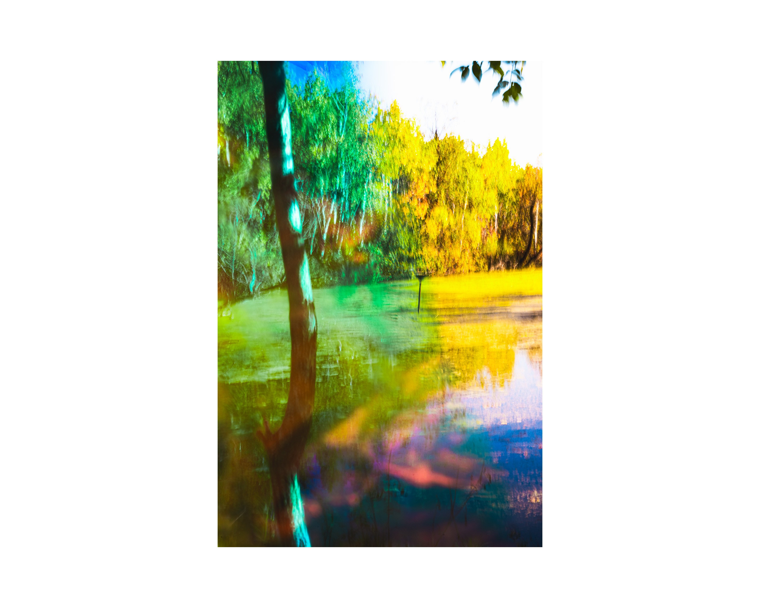 Nature from Exaggerated Worlds. Ekaterina Tsurkina-Appina Photography Canada