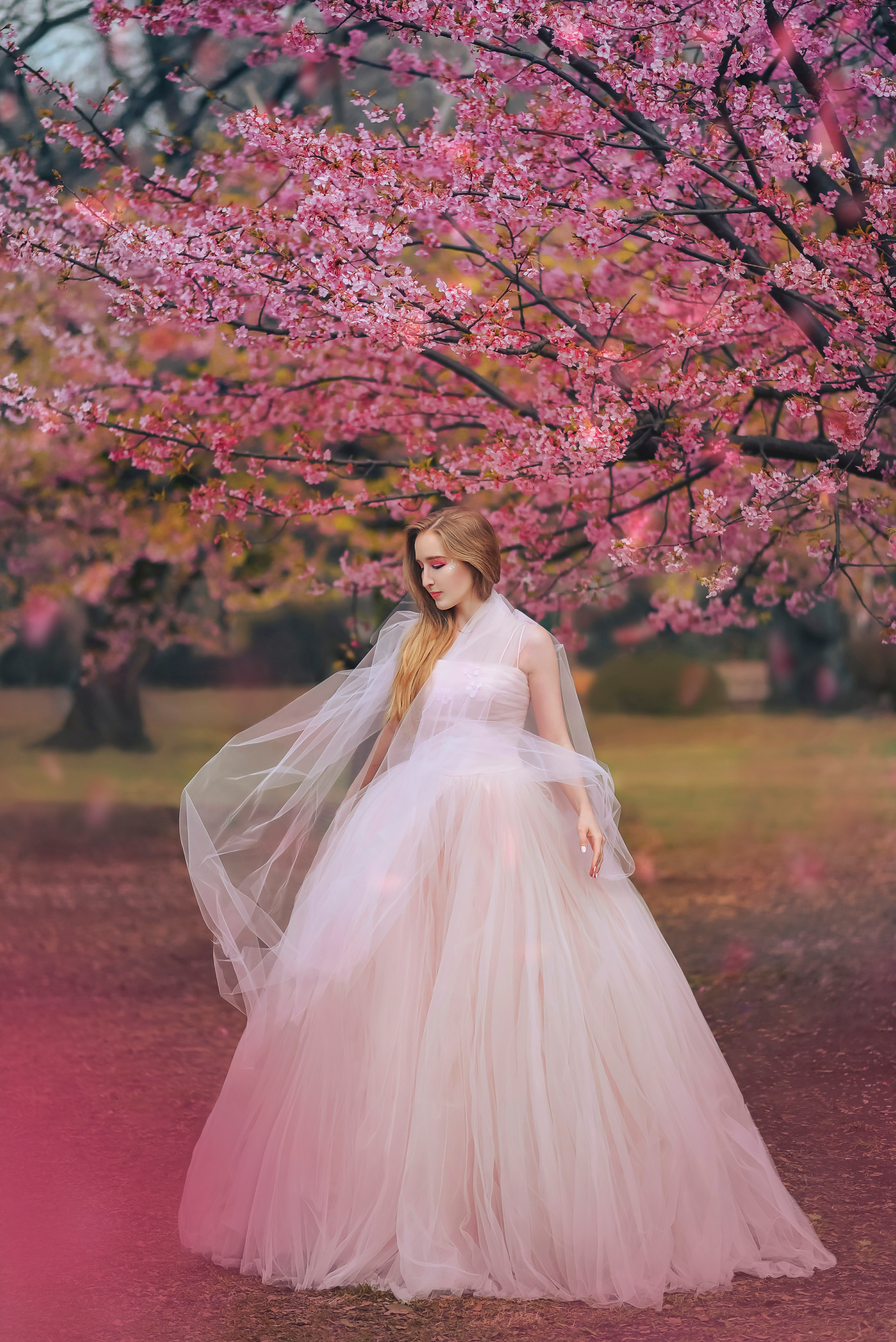 Fairy Tales. Photographer in Tokyo, Japan