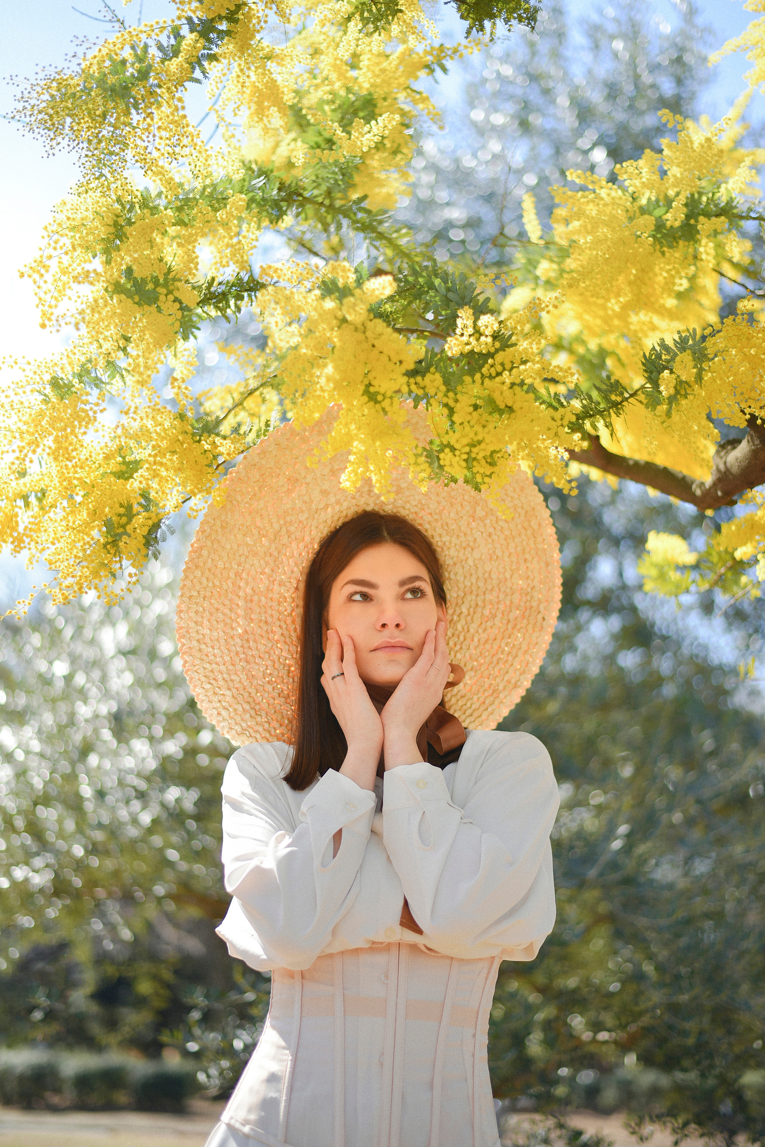 Photo session for client. Photographer in Tokyo, Japan