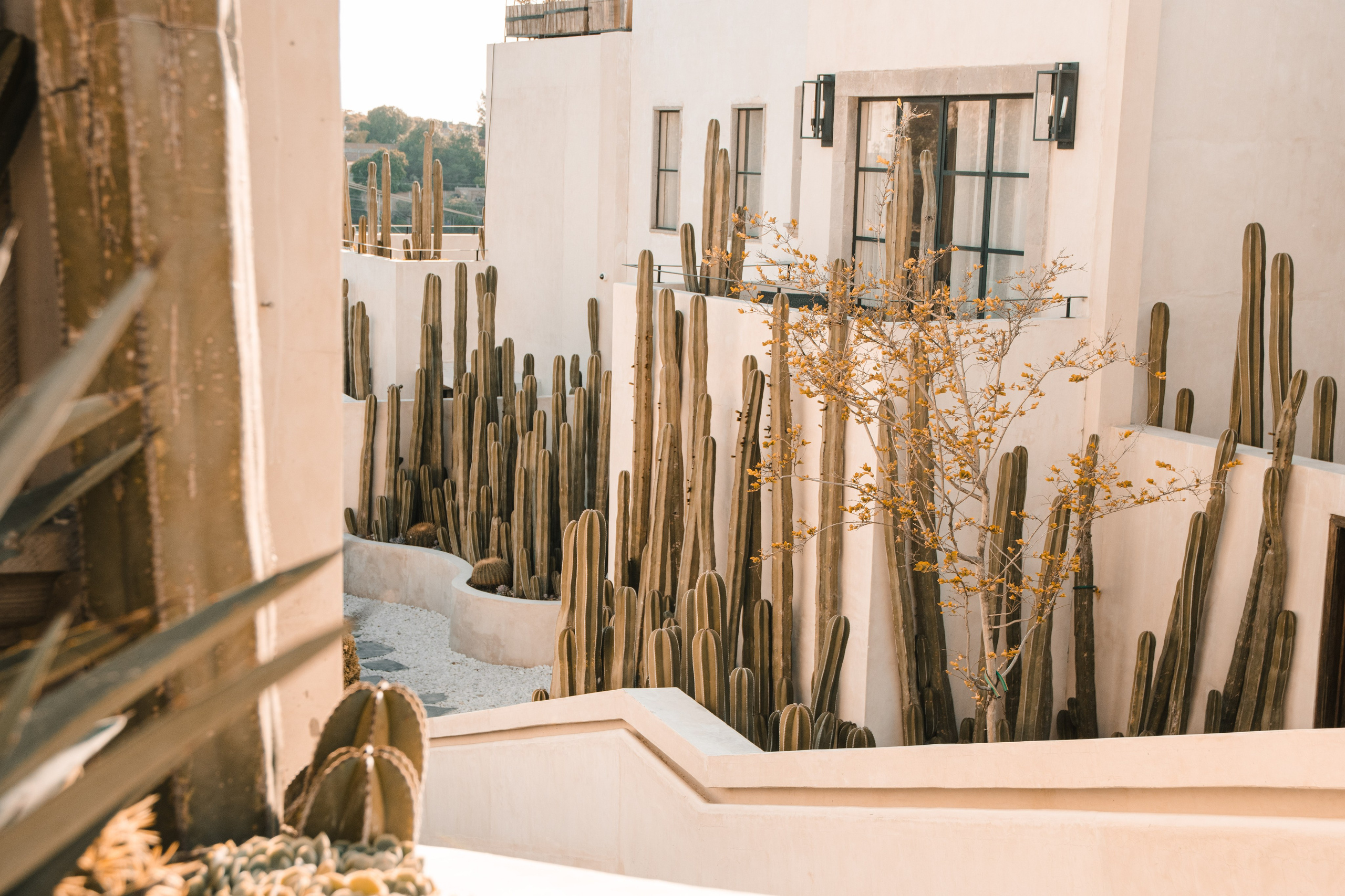 Andrea & Kyle. Saúl Vázquez | Destination Wedding Photographer
