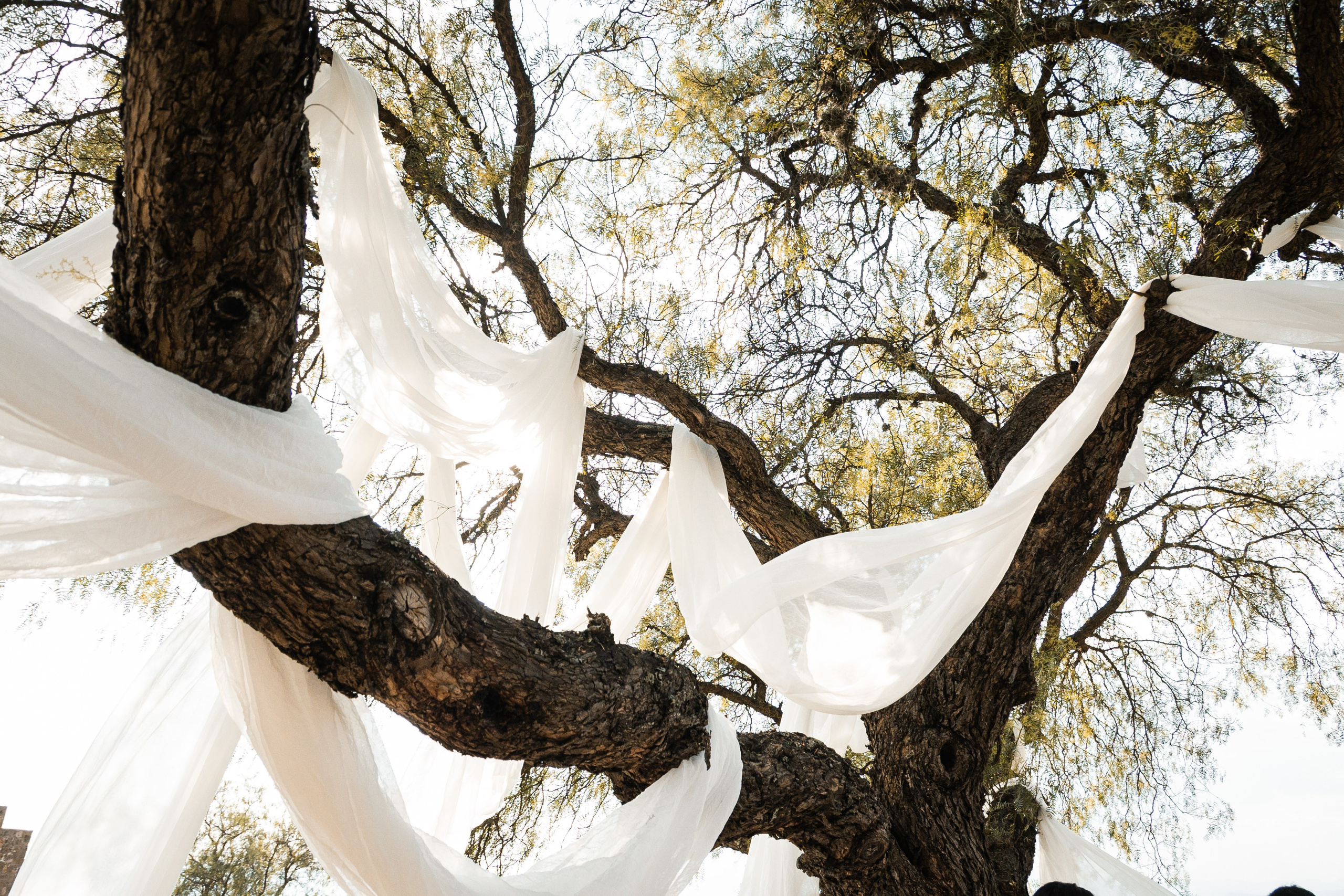 Shayne & Max. Saúl Vázquez | Destination Wedding Photographer