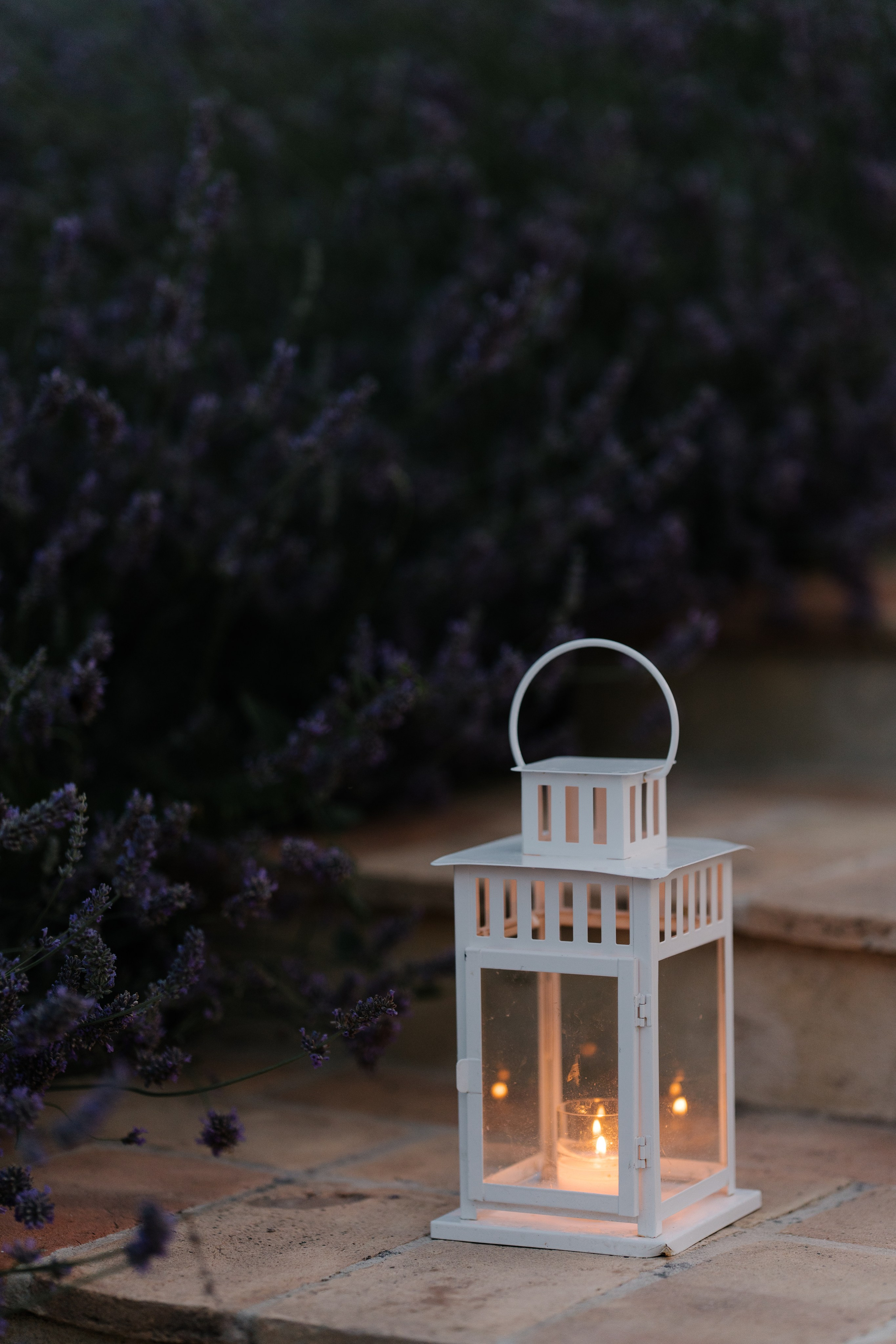 Sofia&Falk. Весільний фотограф Вікторія Саврук