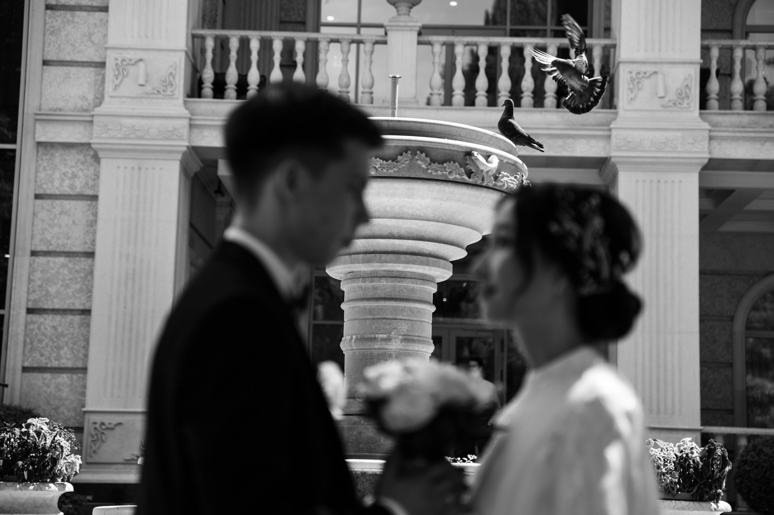 Wedding. Фотограф в Бишкеке Андрей Кавешников