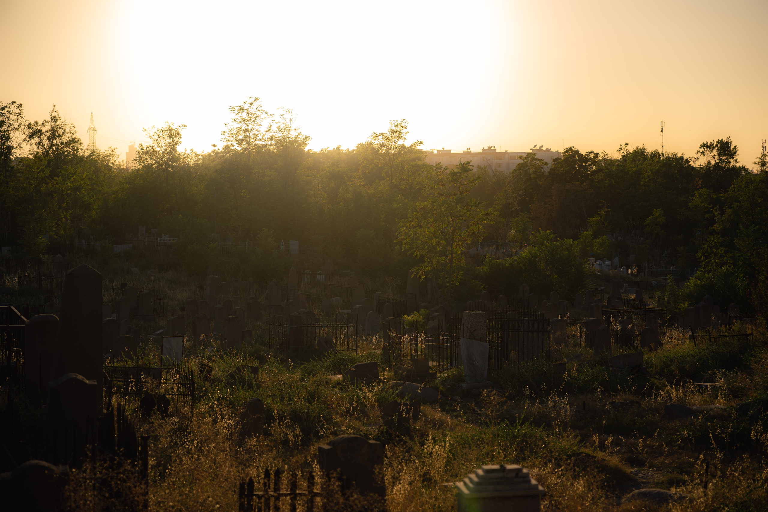 Клиент всегда мёртв: профессия — могильщик. Георгий Намазов | Фотограф в Ташкенте