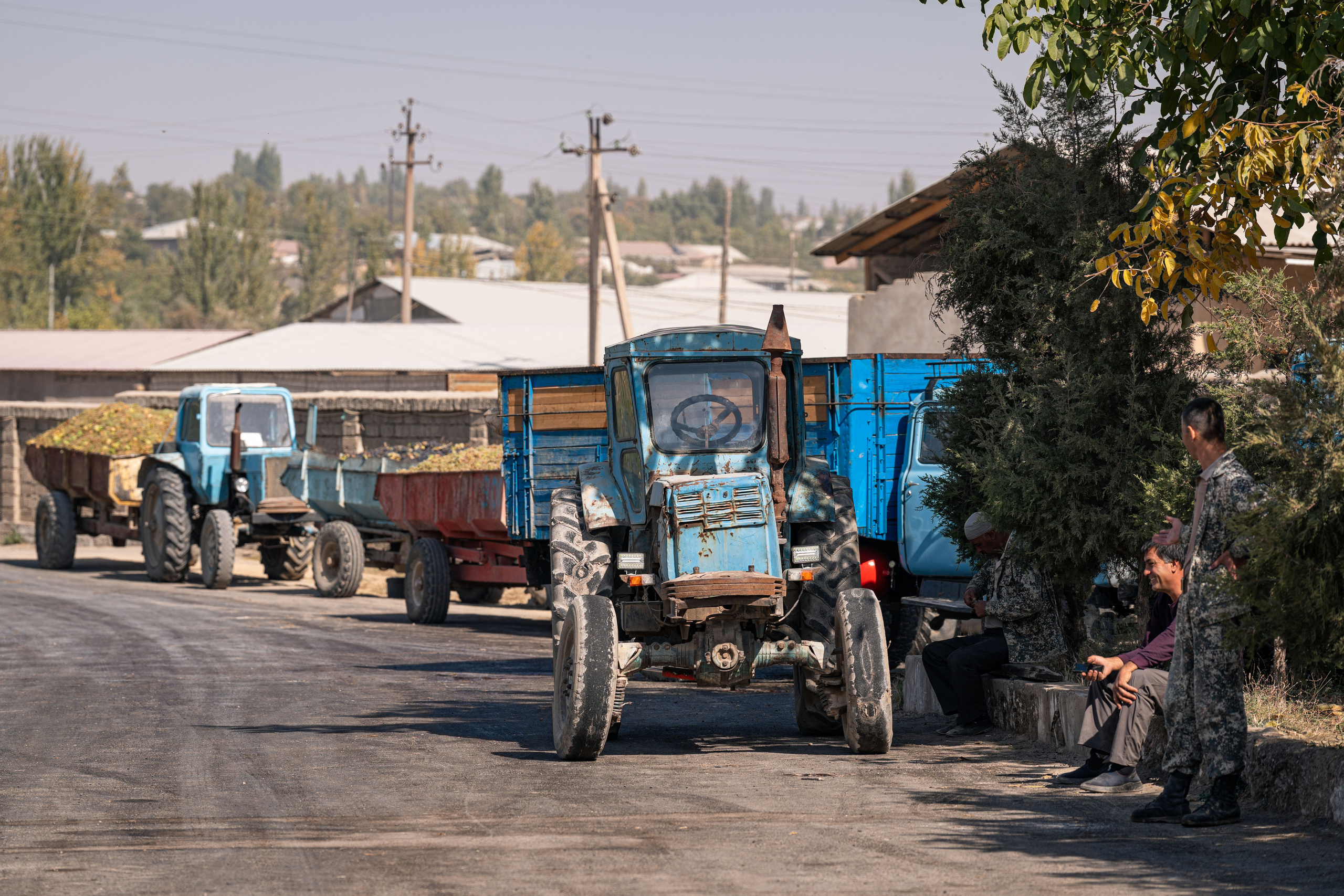 «Мне платят за то, что я выпиваю на работе» — история одной винодельни. Георгий Намазов | Фотограф в Ташкенте