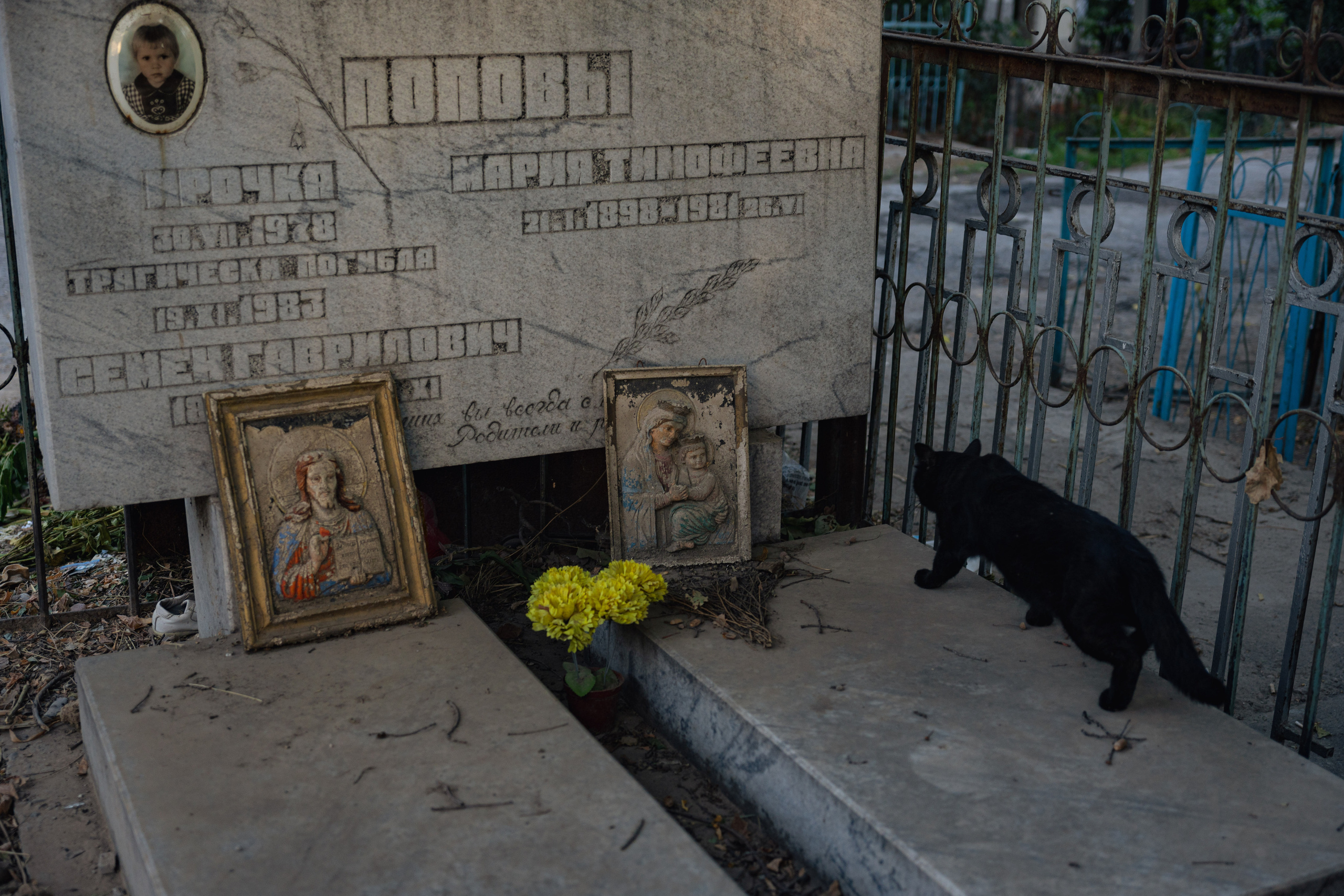 Клиент всегда мёртв: профессия — могильщик. Георгий Намазов | Фотограф в Ташкенте