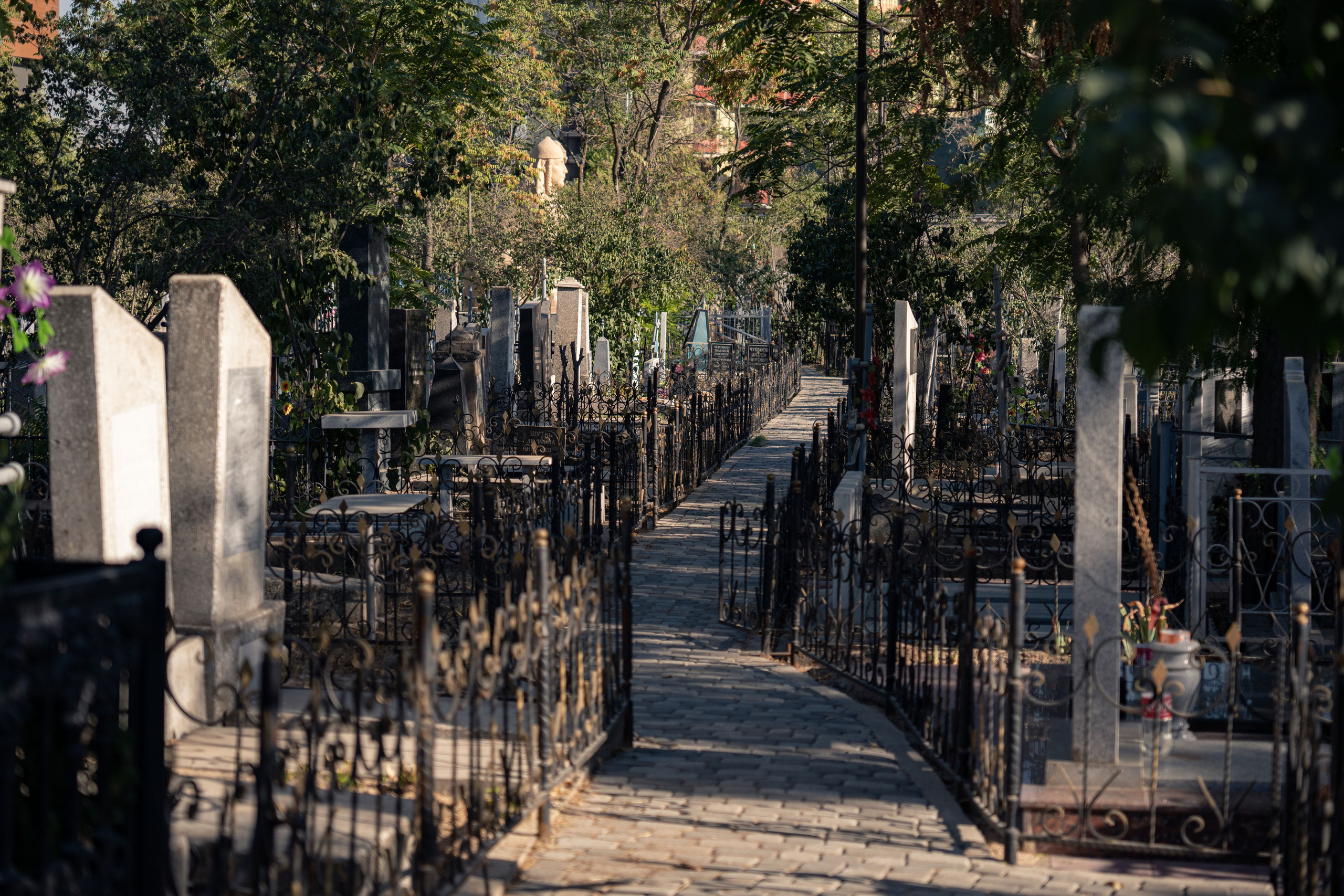 Клиент всегда мёртв: профессия — могильщик. Георгий Намазов | Фотограф в Ташкенте